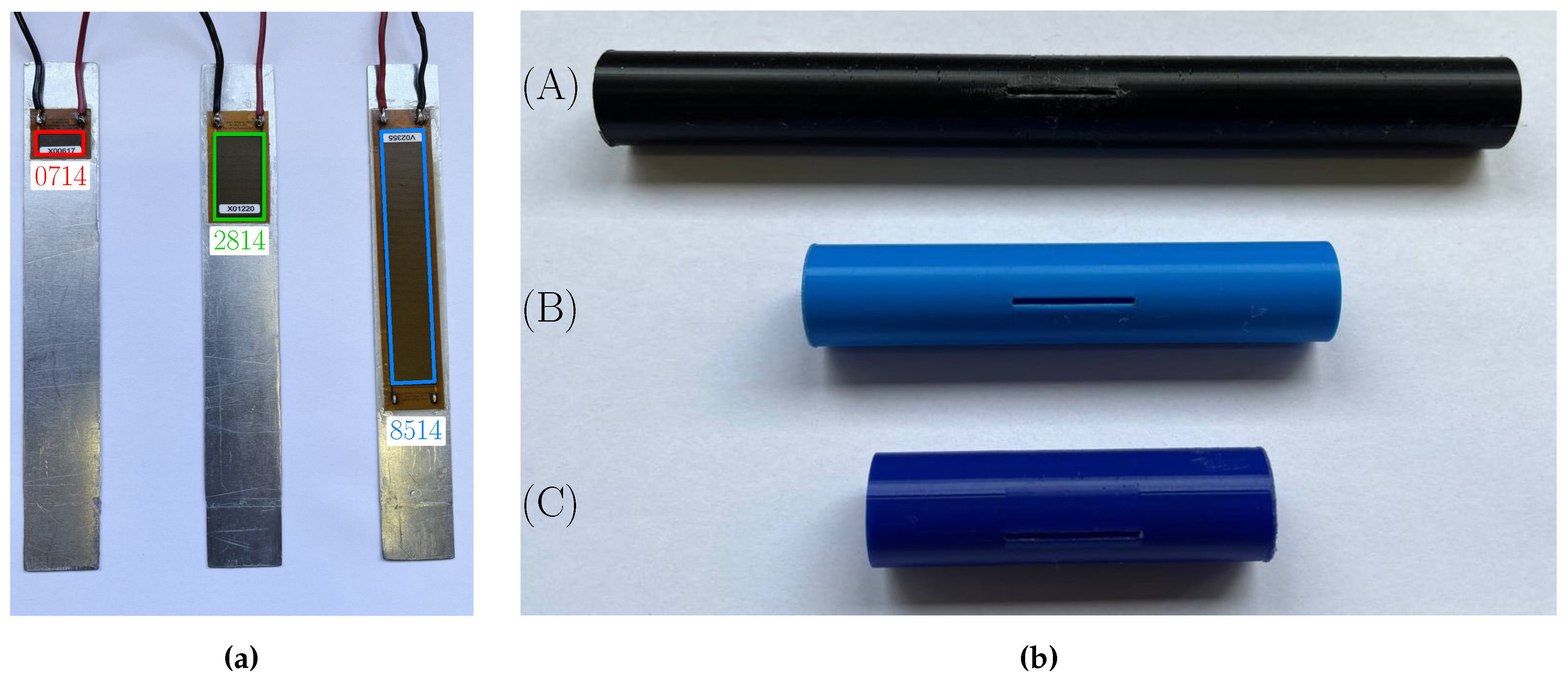 Preprints 141831 g002