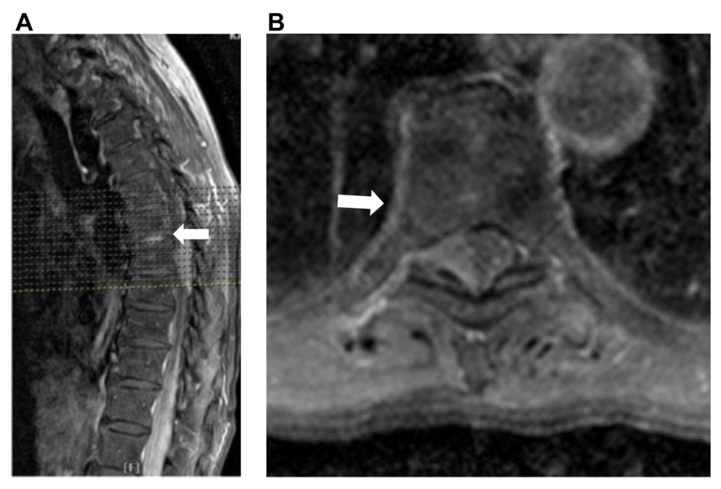 Preprints 189573 g001