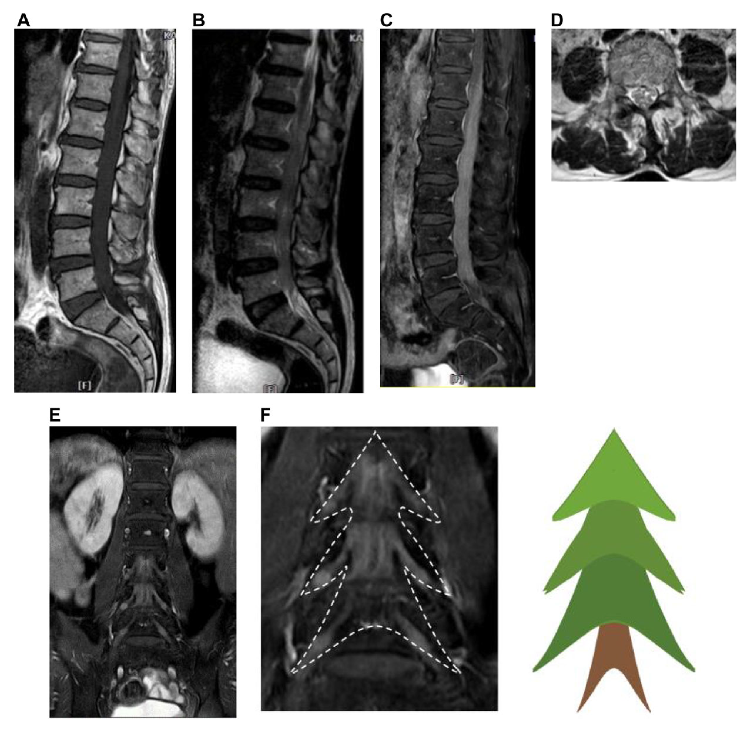 Preprints 189573 g002