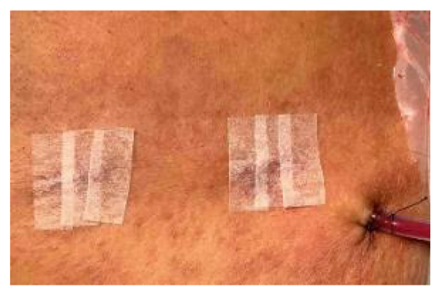 Preprints 189573 g003