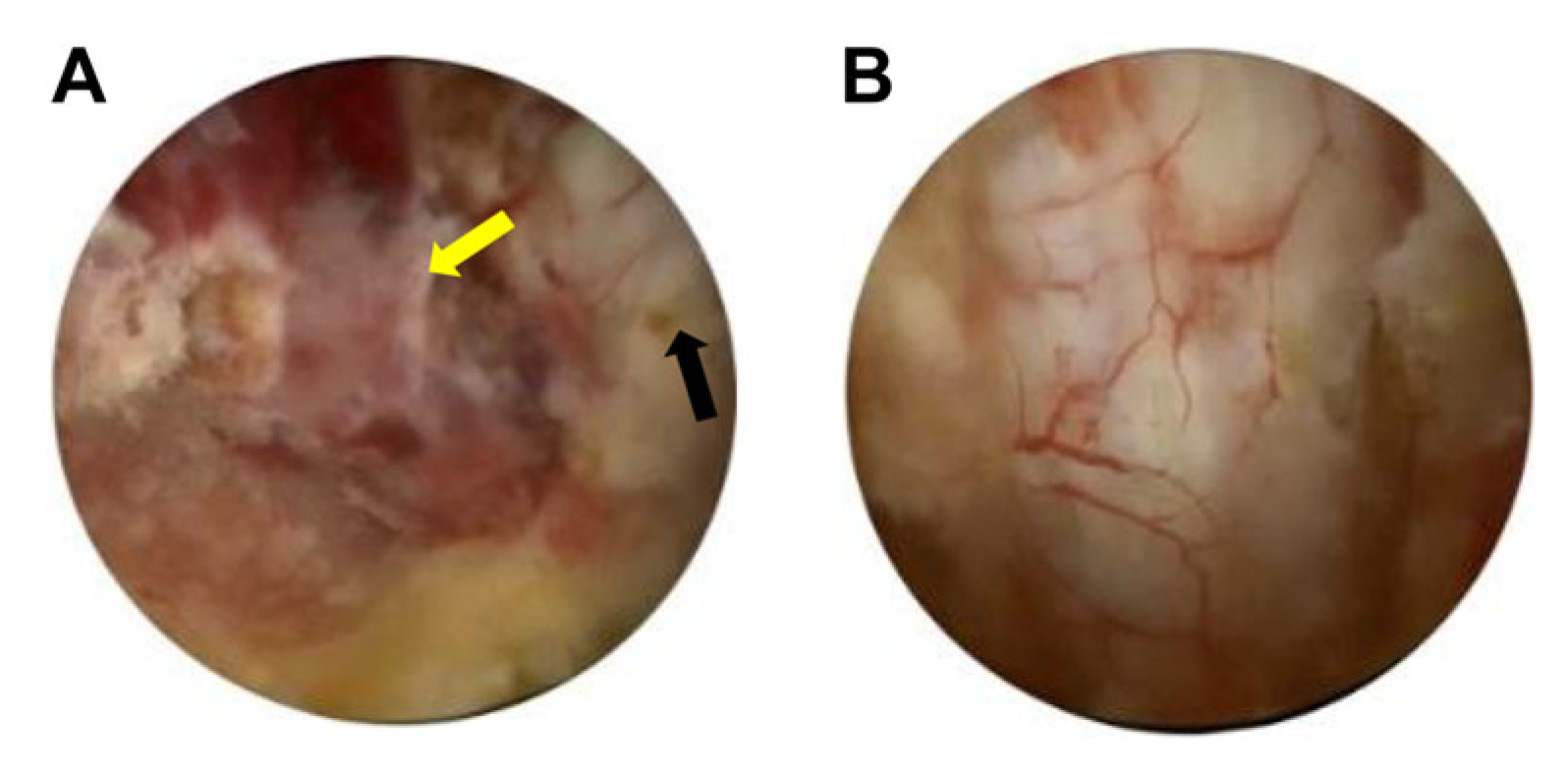 Preprints 189573 g004