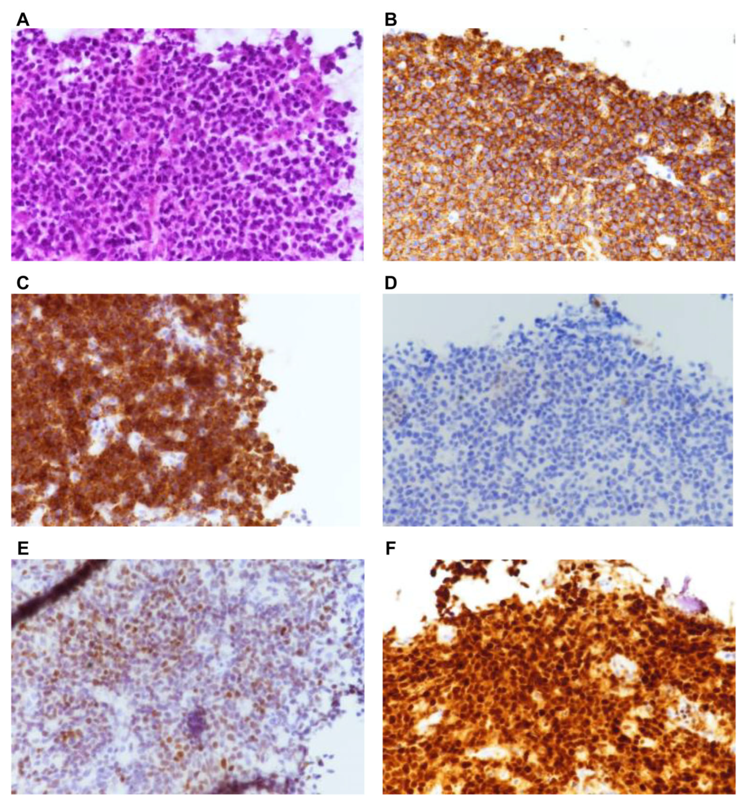 Preprints 189573 g005