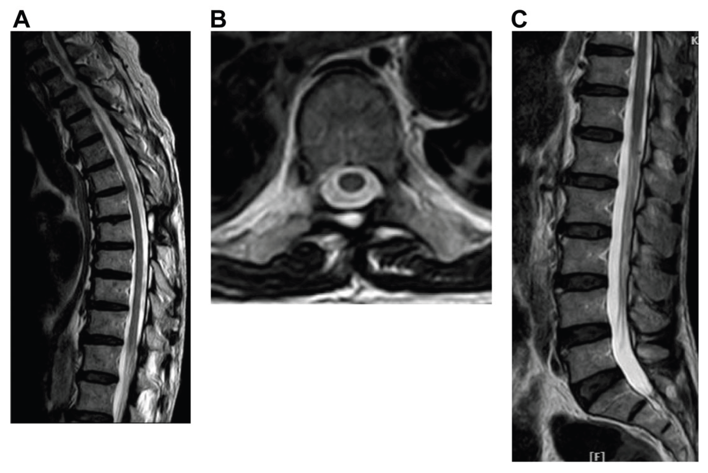 Preprints 189573 g006