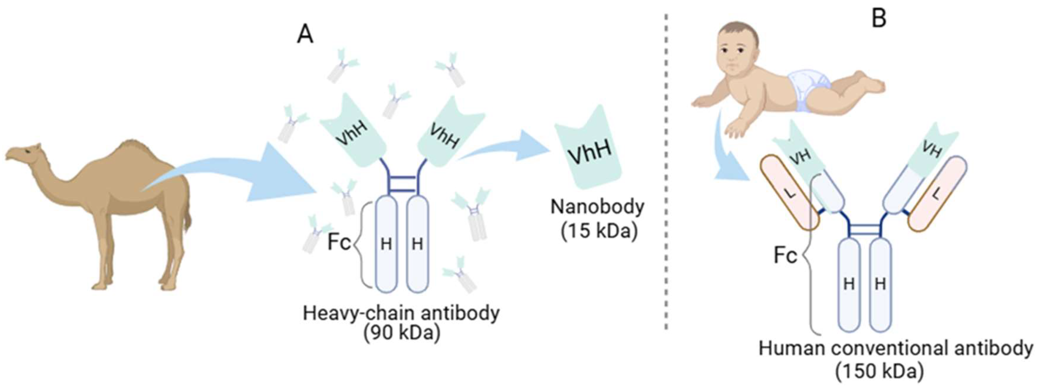 Preprints 159185 g001