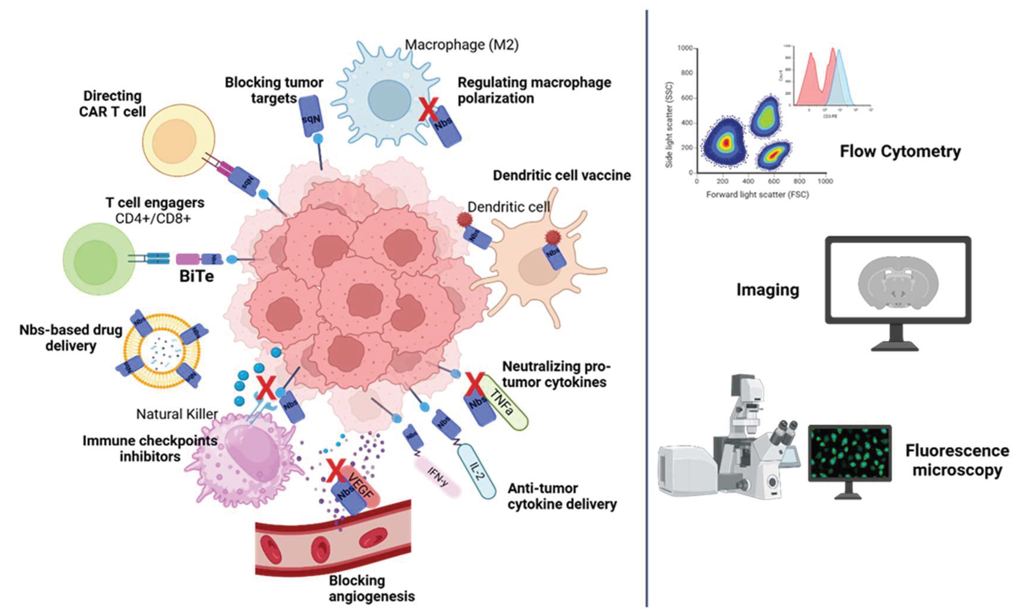 Preprints 159185 g003