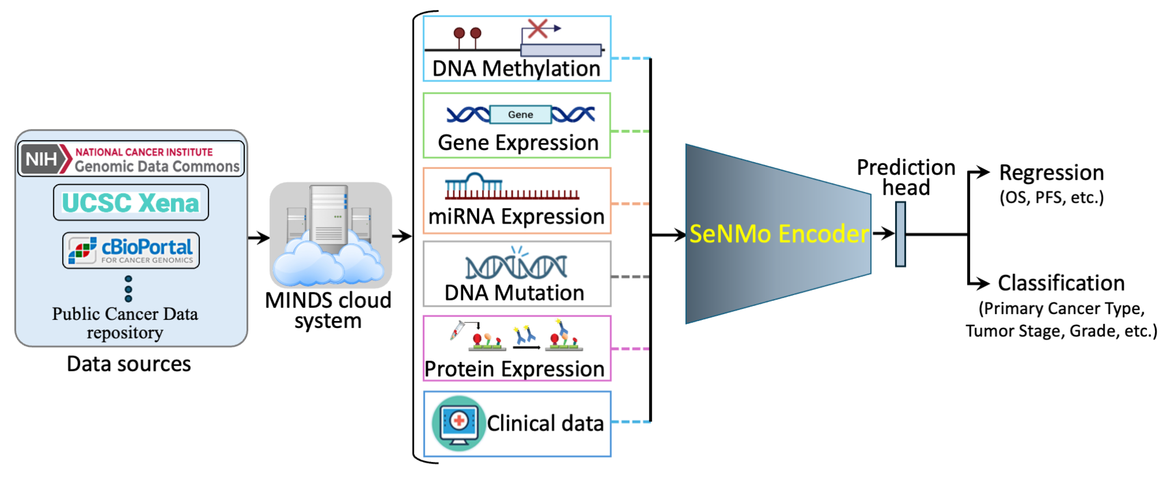 Preprints 154889 g001