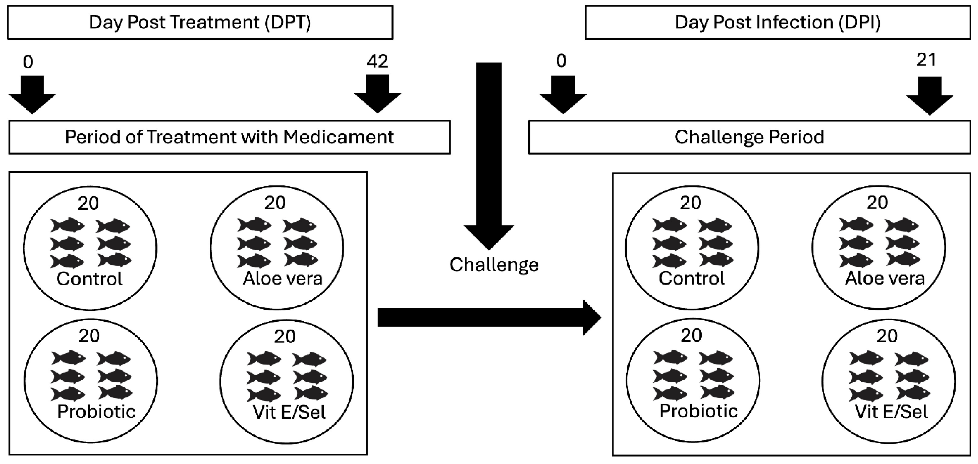 Preprints 154709 g001