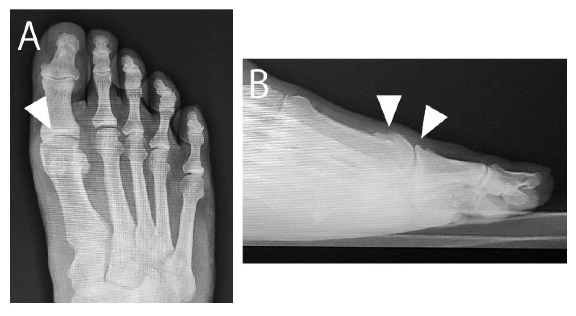 Preprints 153354 g001