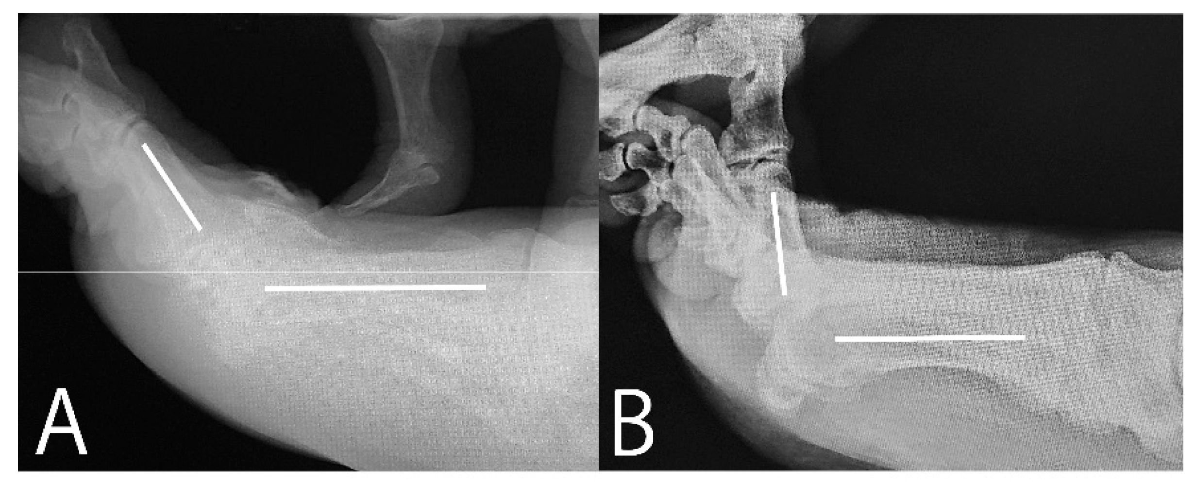 Preprints 153354 g004