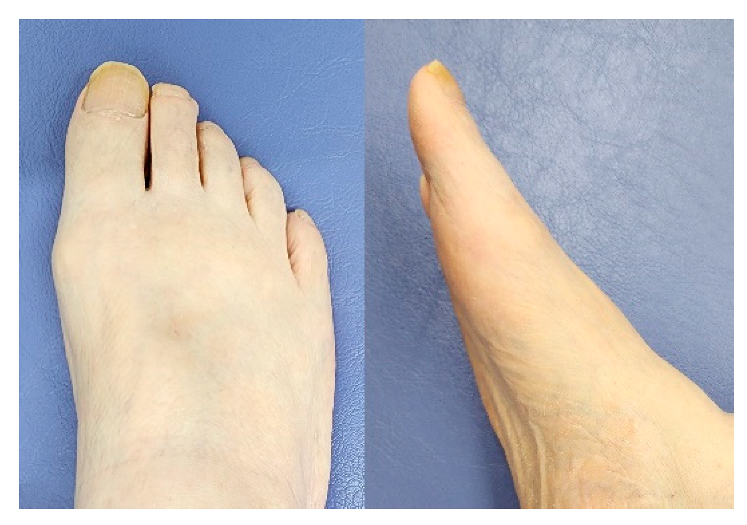 Preprints 153354 g006