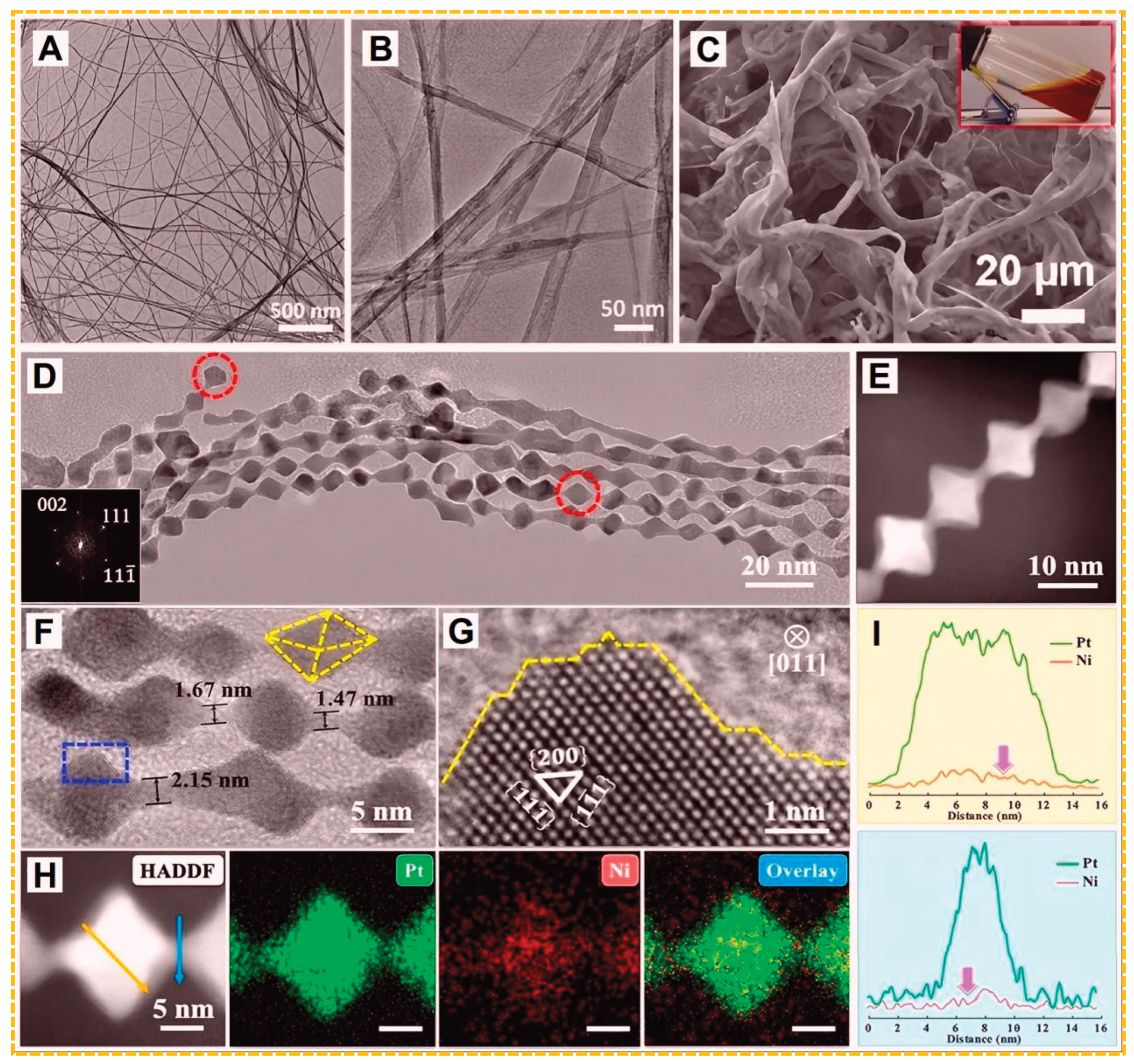 Preprints 236101 g003