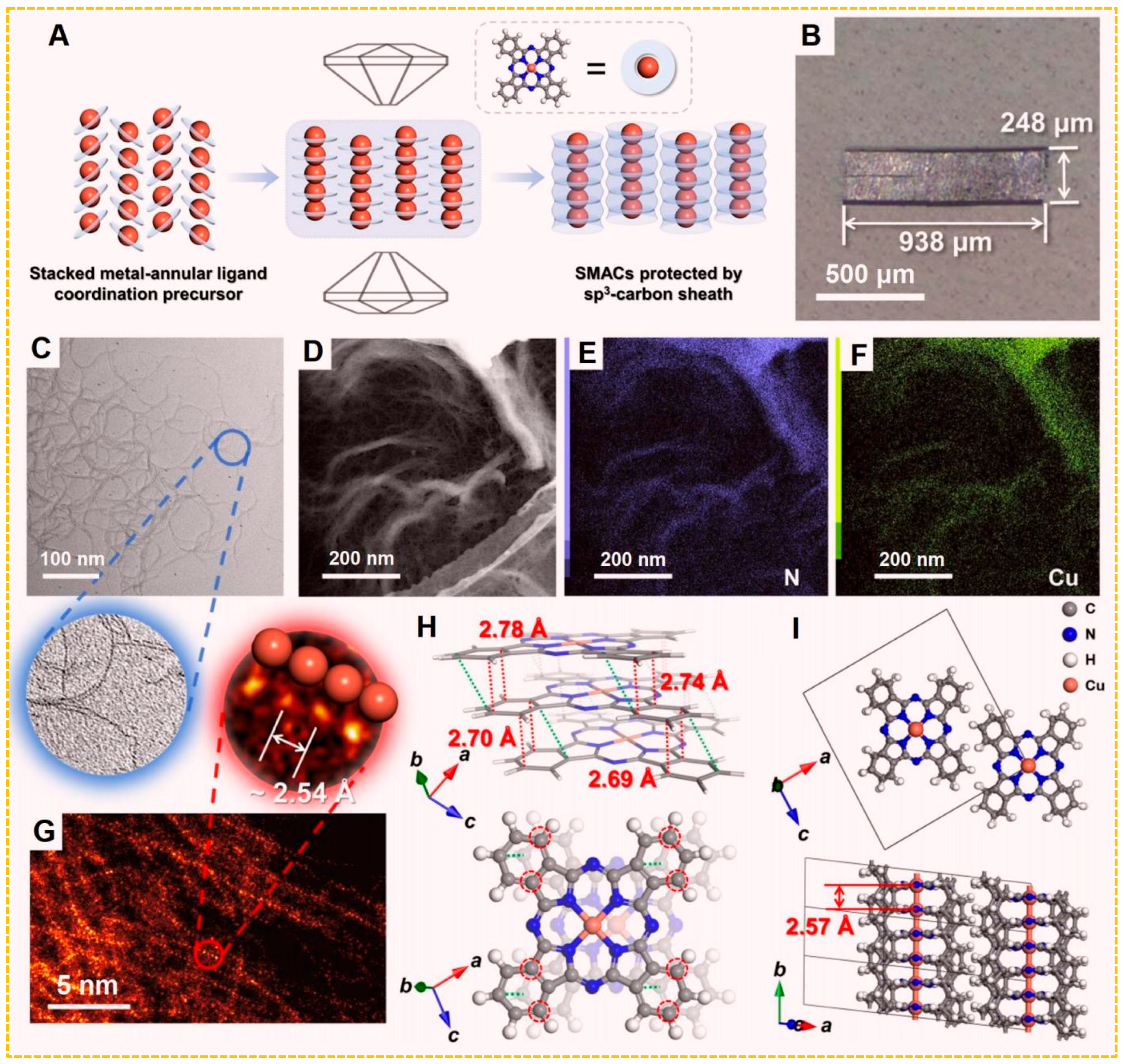 Preprints 236101 g005