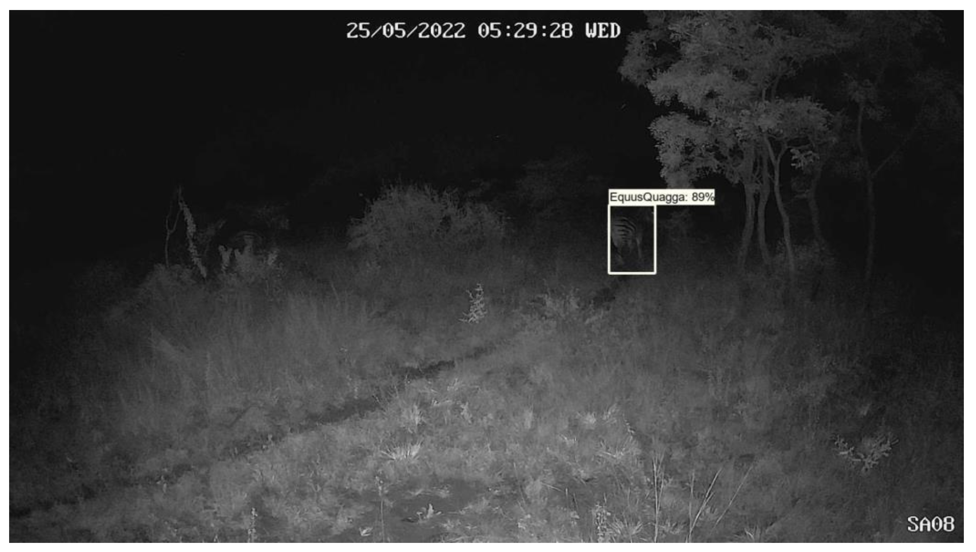 Preprints 140469 g004