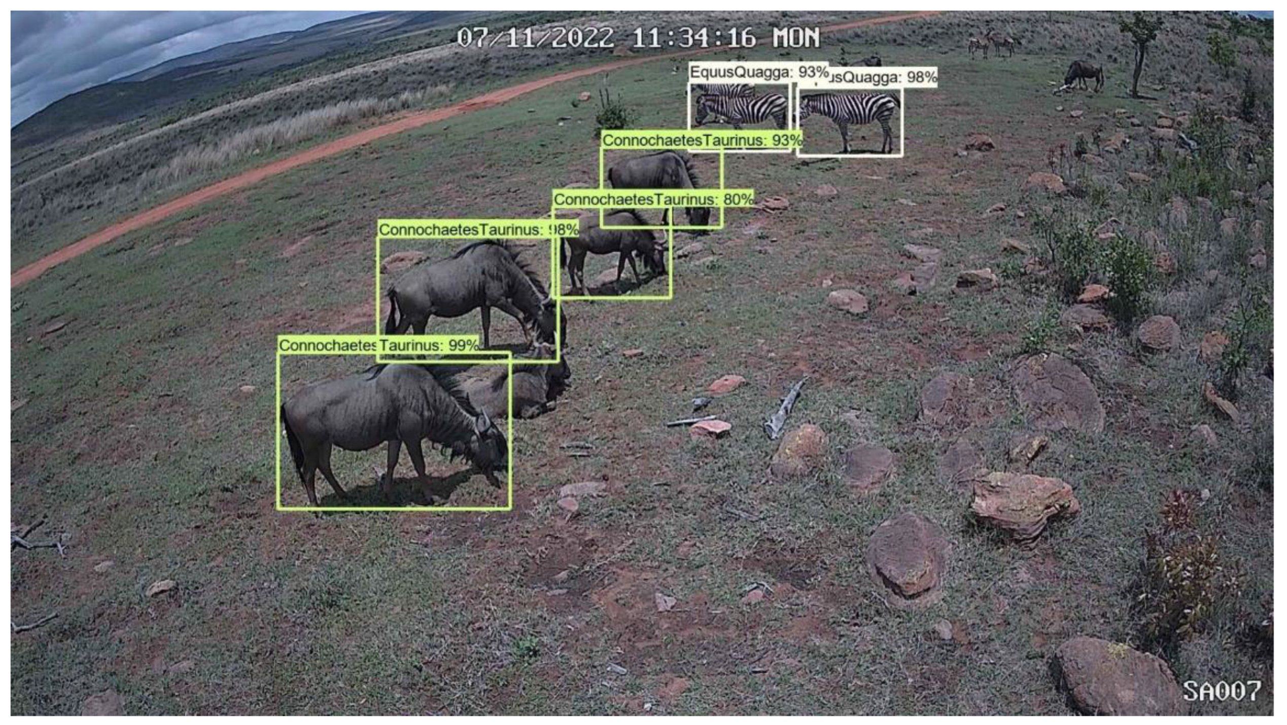 Preprints 140469 g005