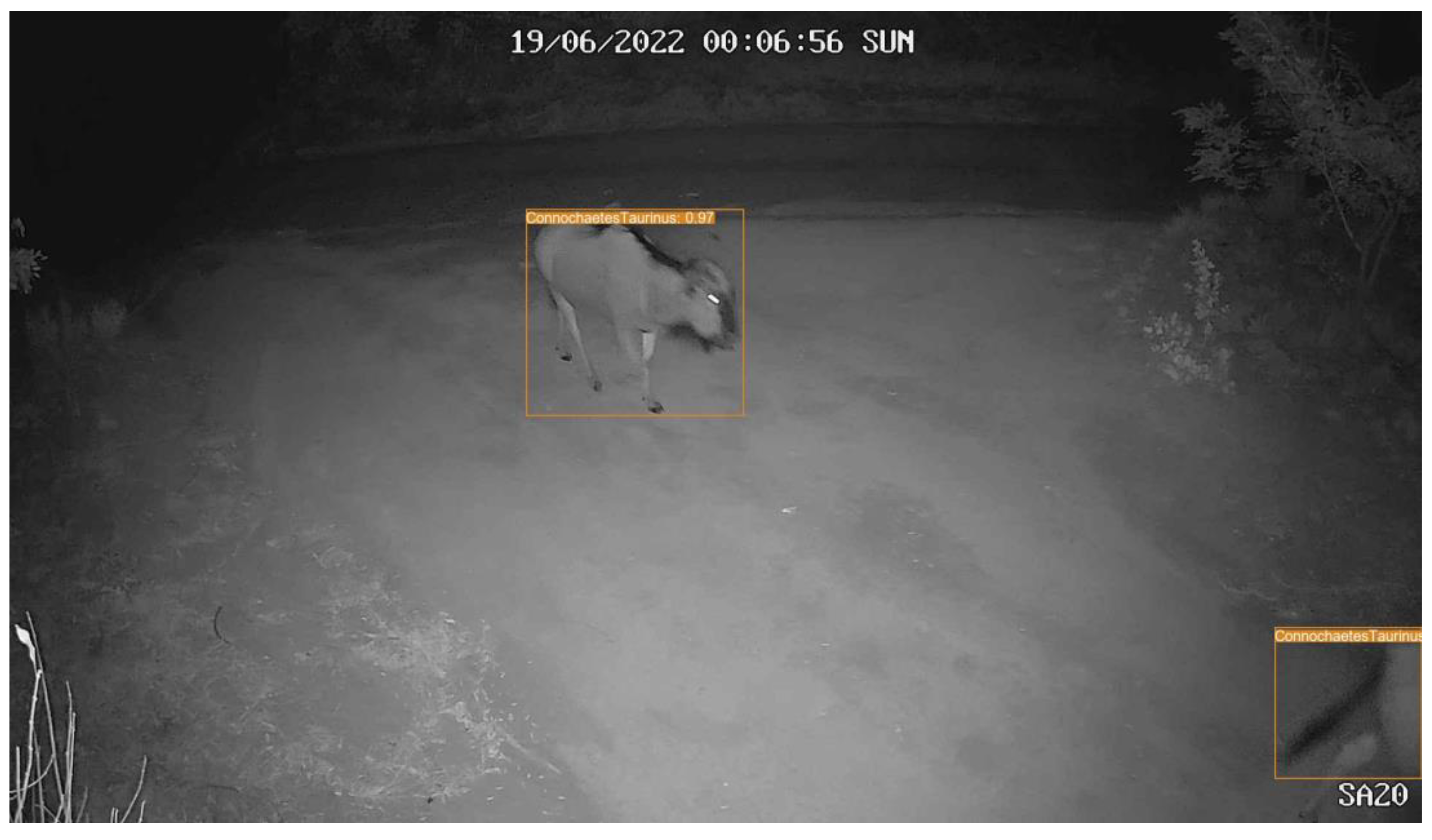 Preprints 140469 g0a2