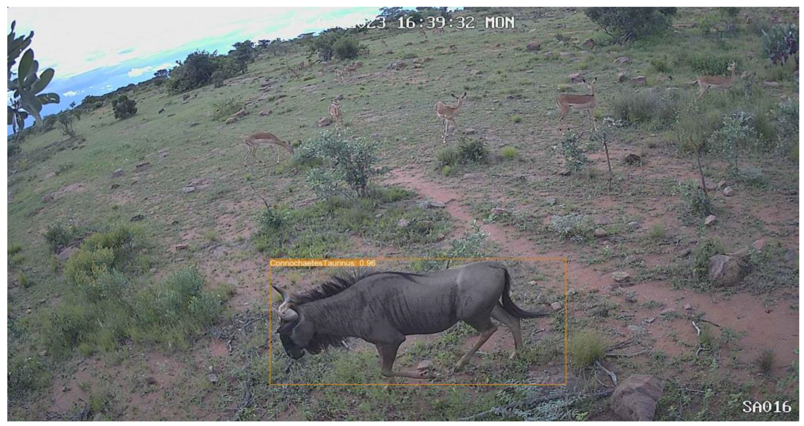 Preprints 140469 g0a3