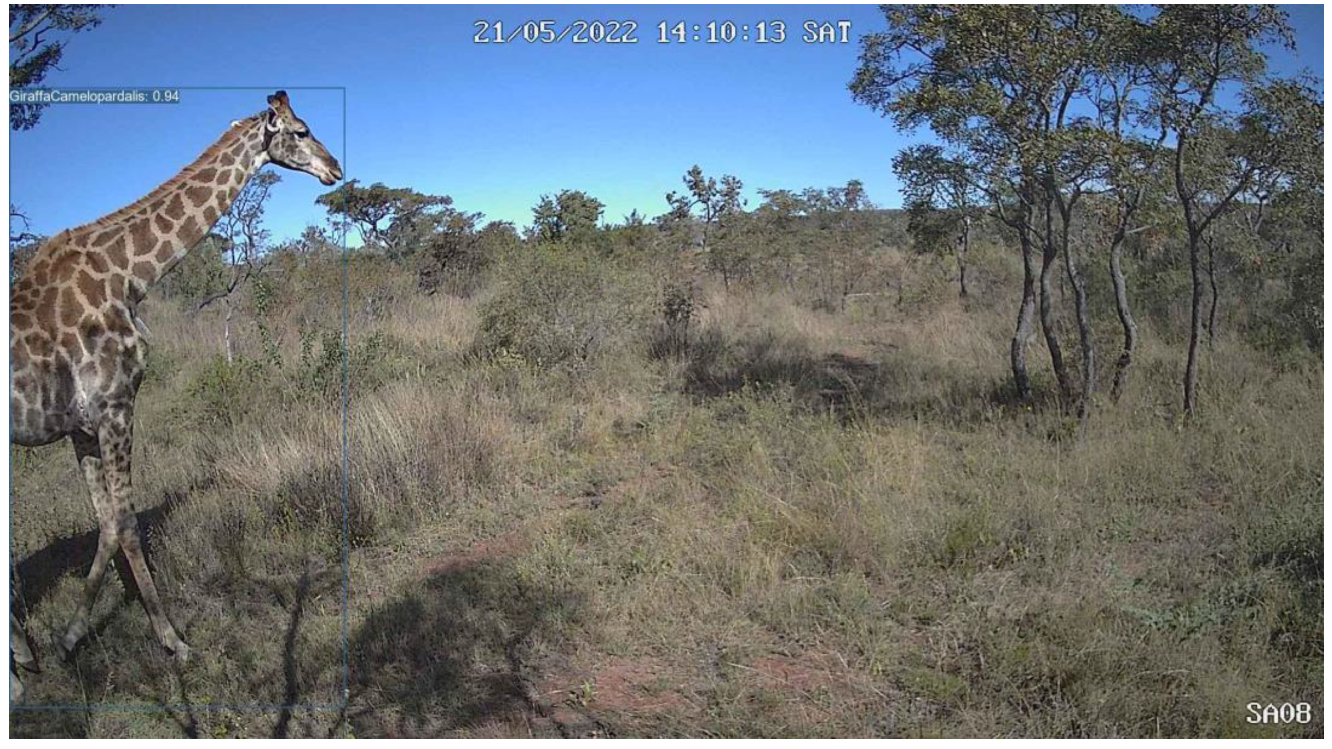 Preprints 140469 g0a4