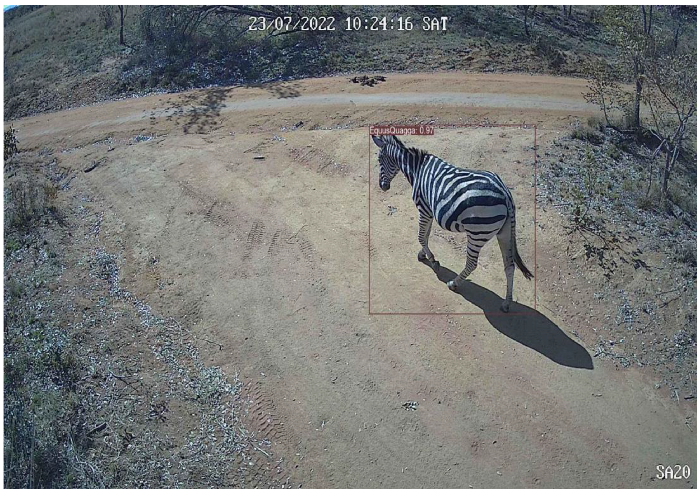 Preprints 140469 g0a5