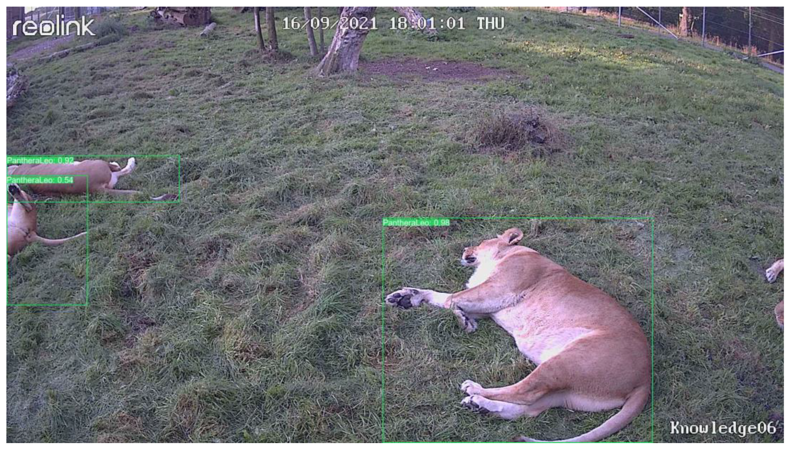 Preprints 140469 g0a7