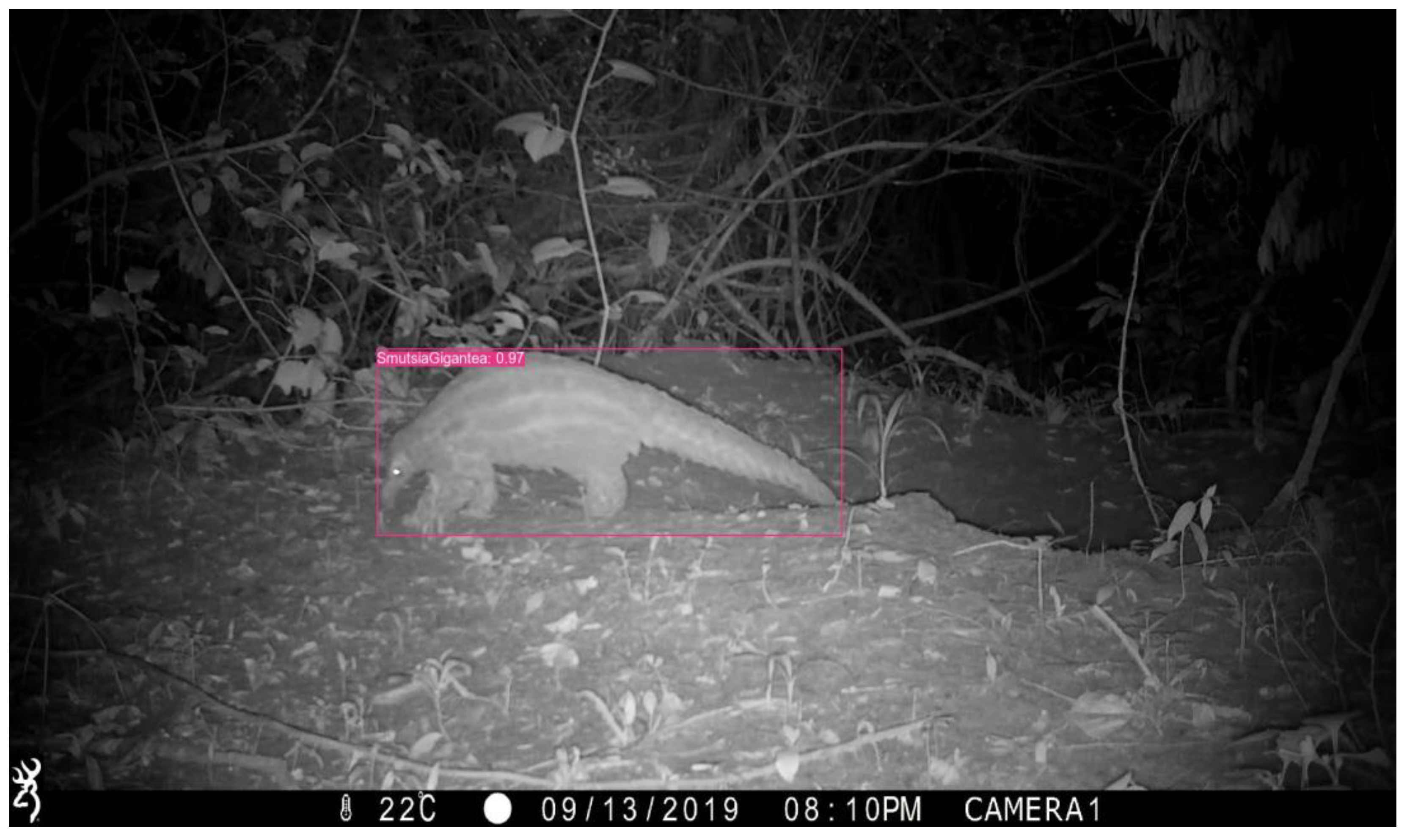 Preprints 140469 g0a8