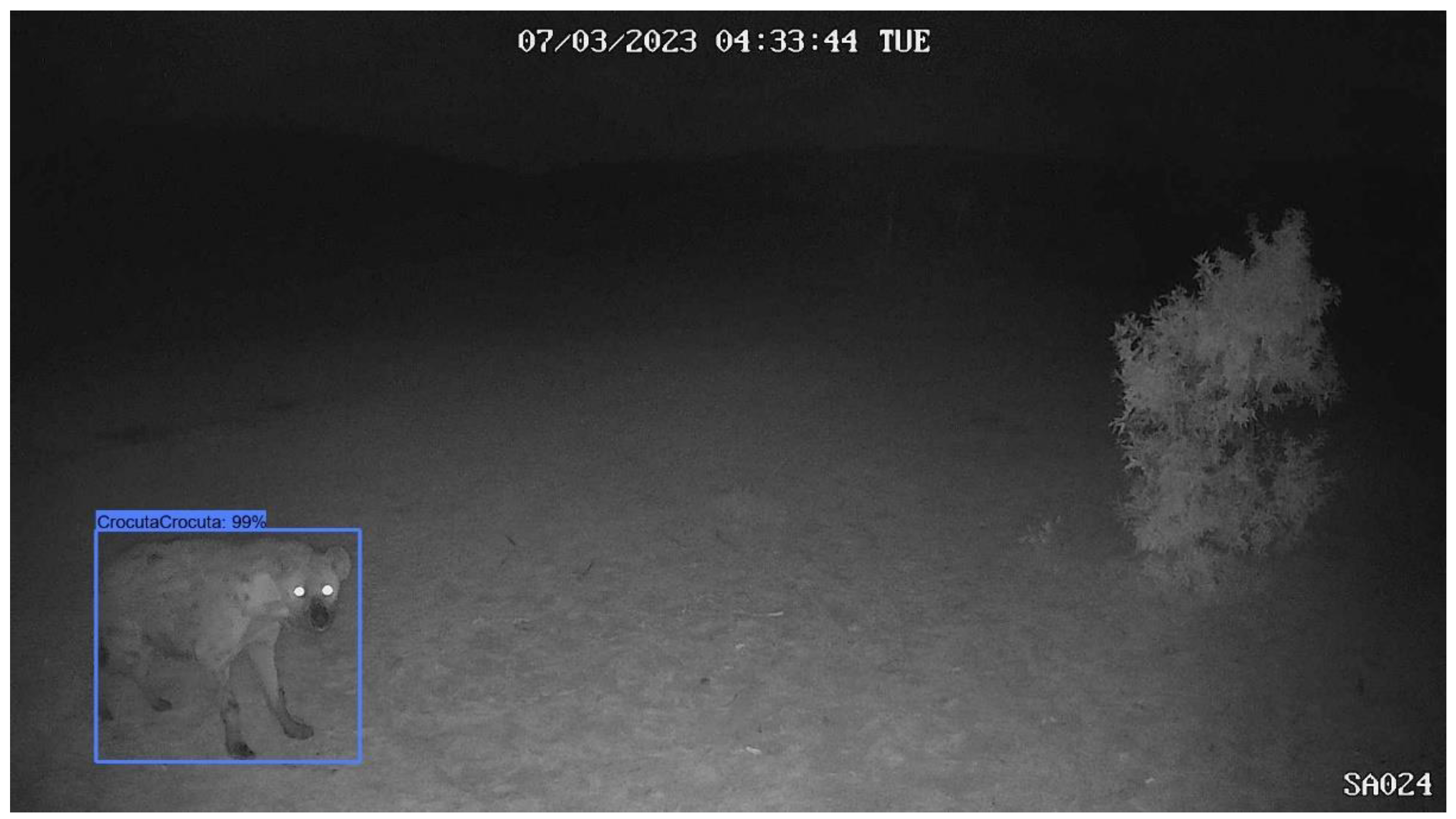 Preprints 140469 g0a9