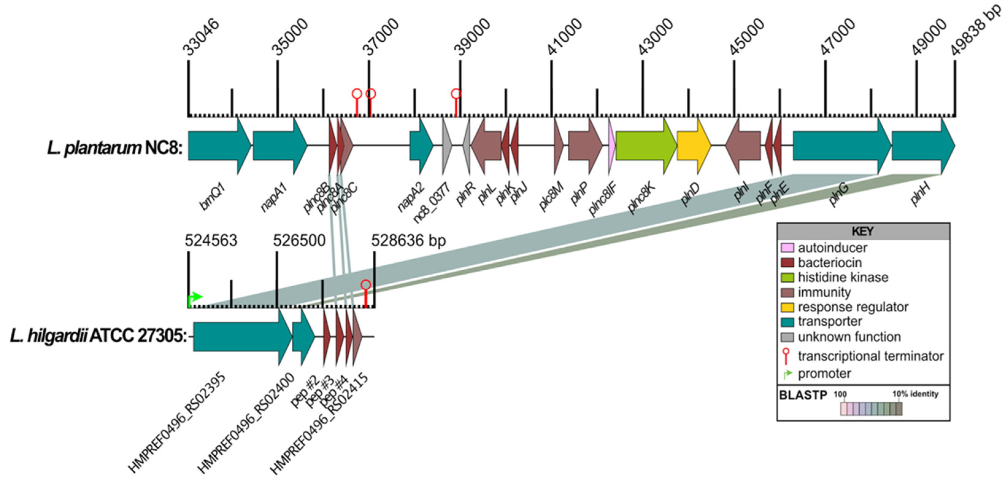 Preprints 176032 g004