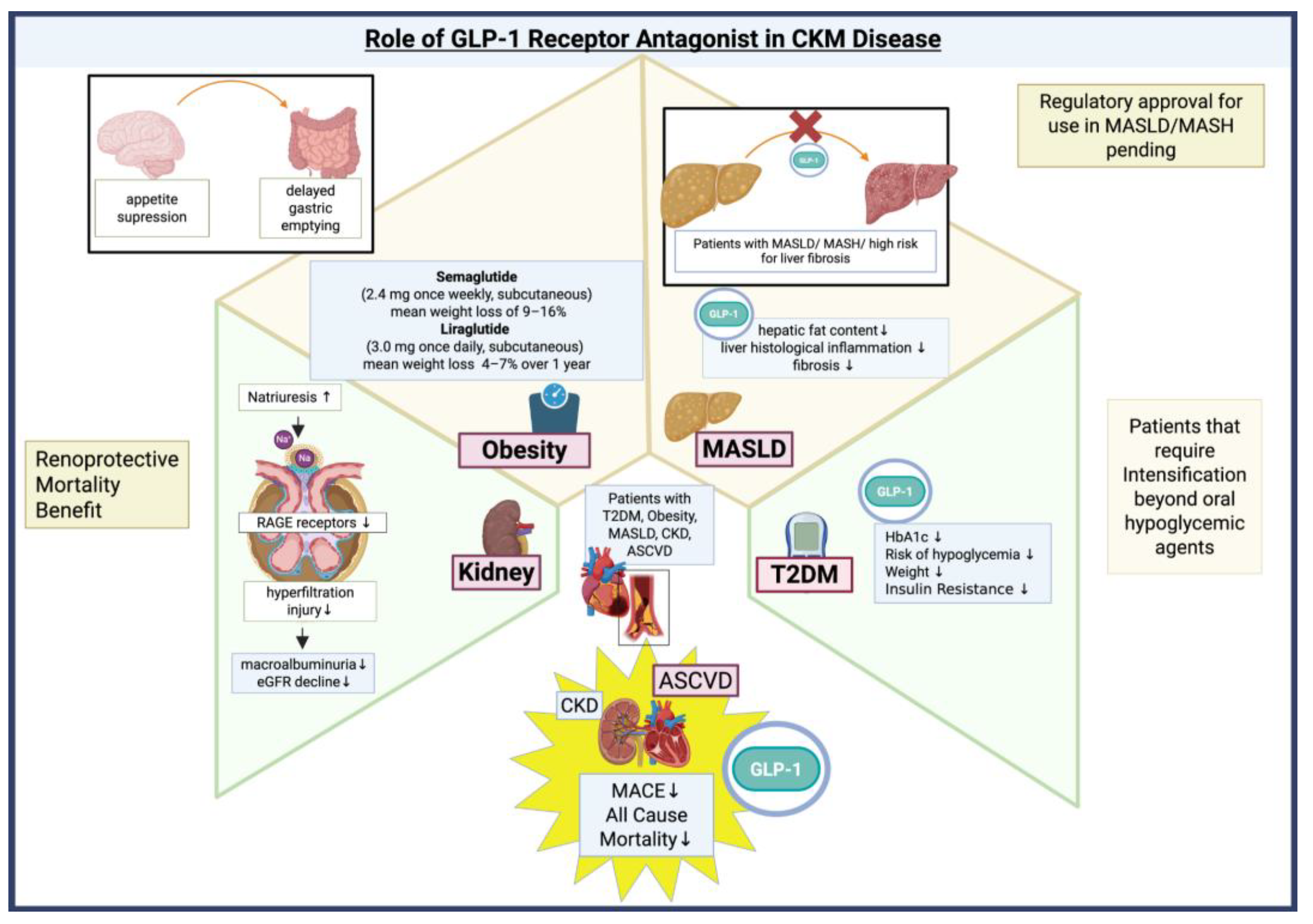 Preprints 175632 g002