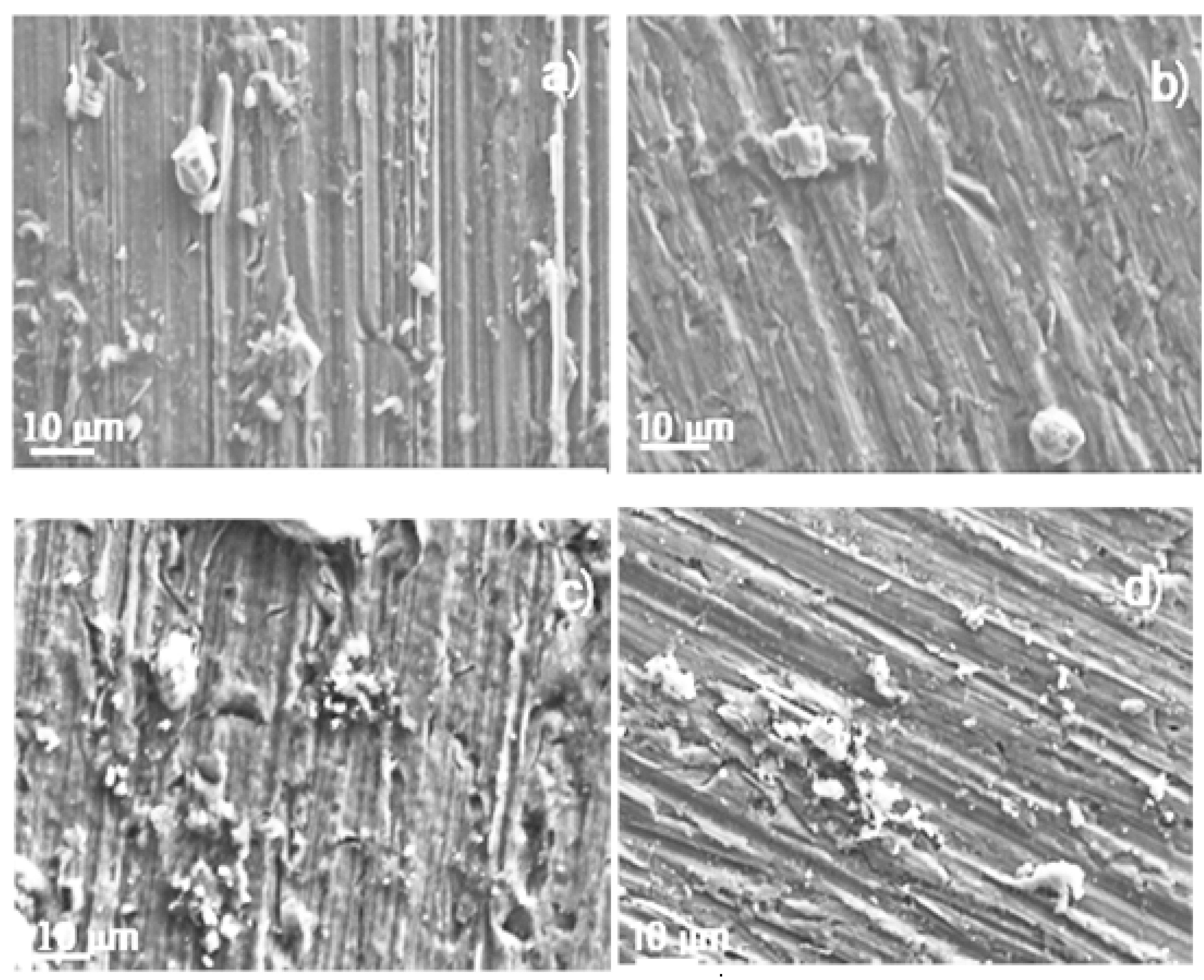 Preprints 195106 g011
