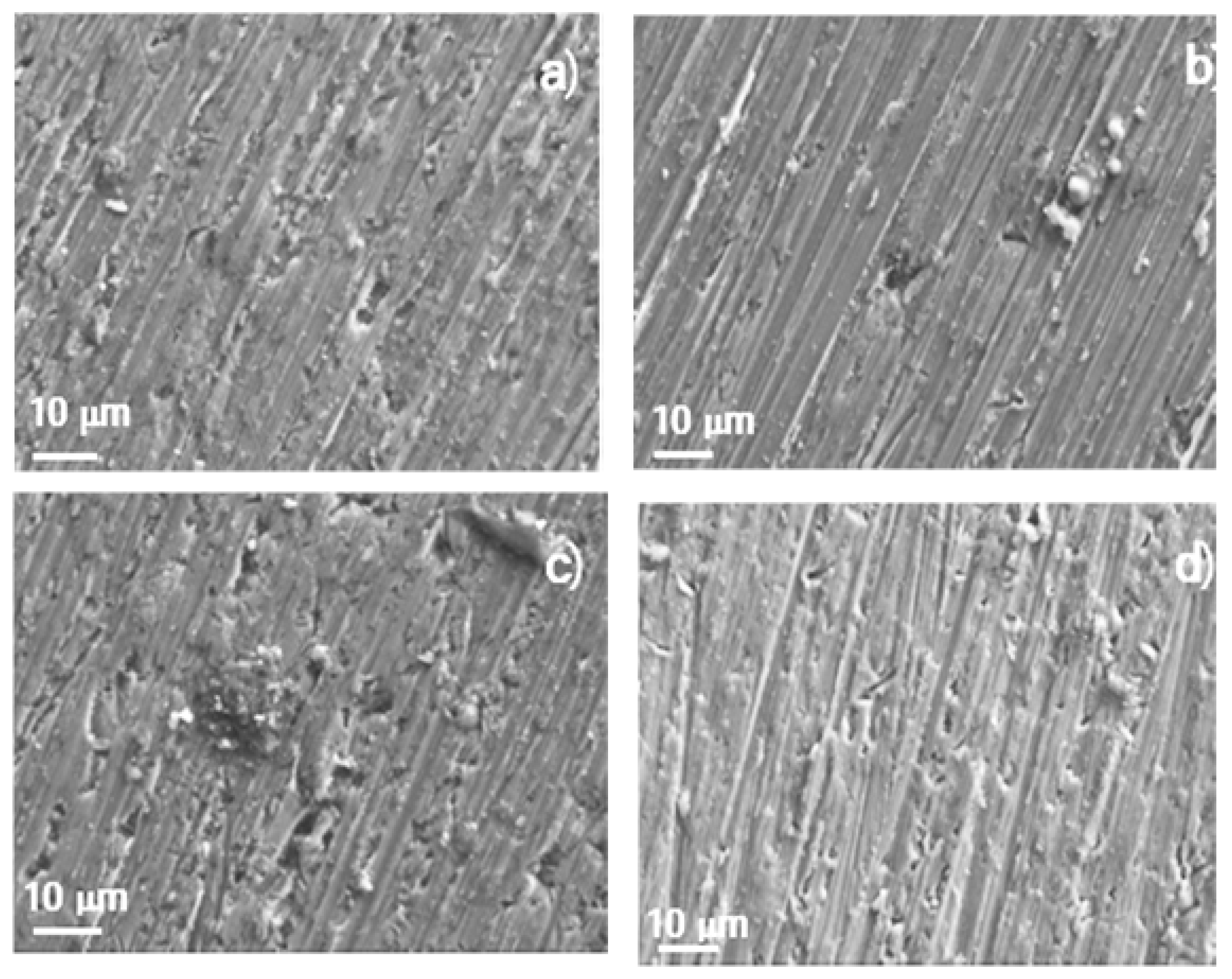 Preprints 195106 g012