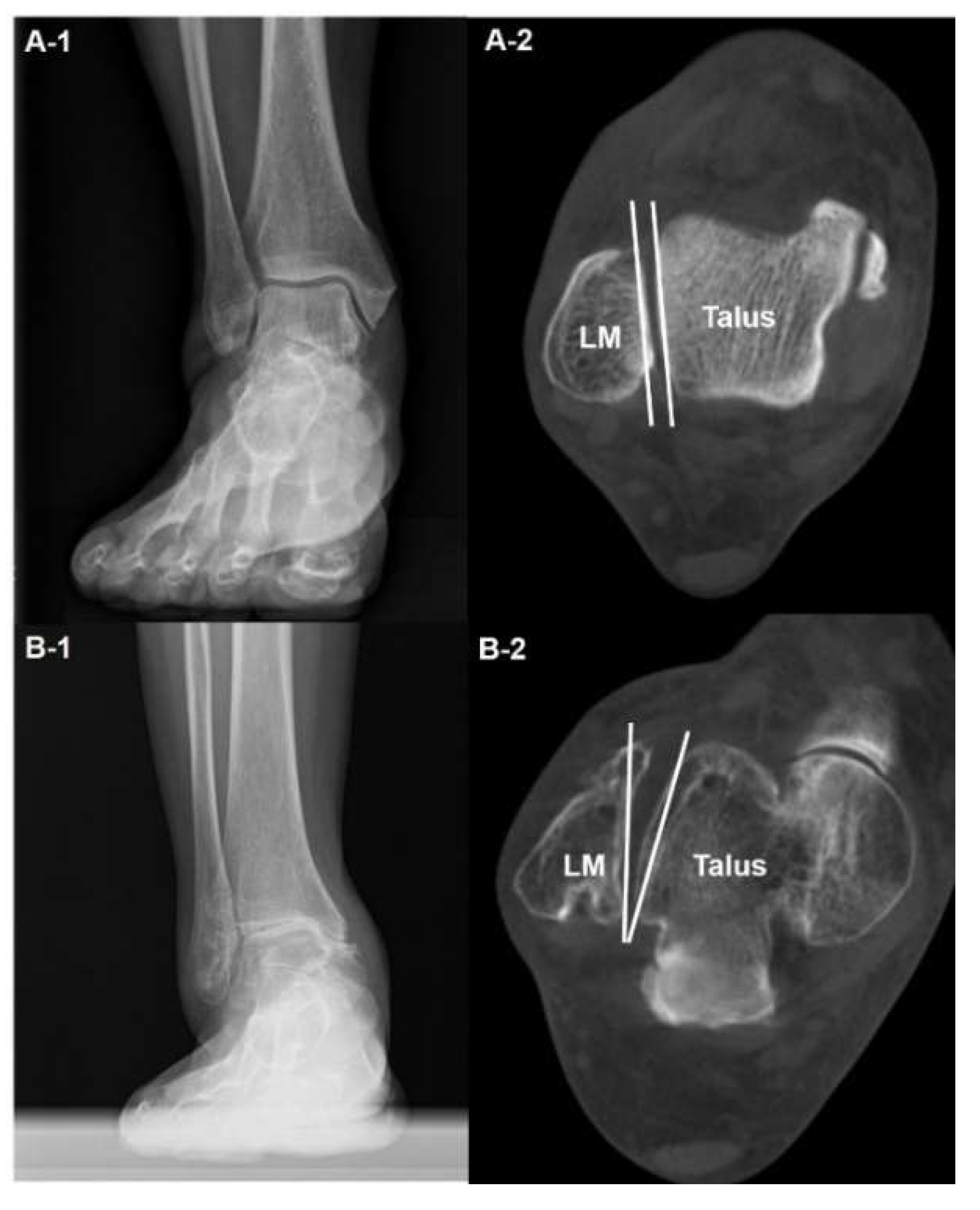 Preprints 112136 g001
