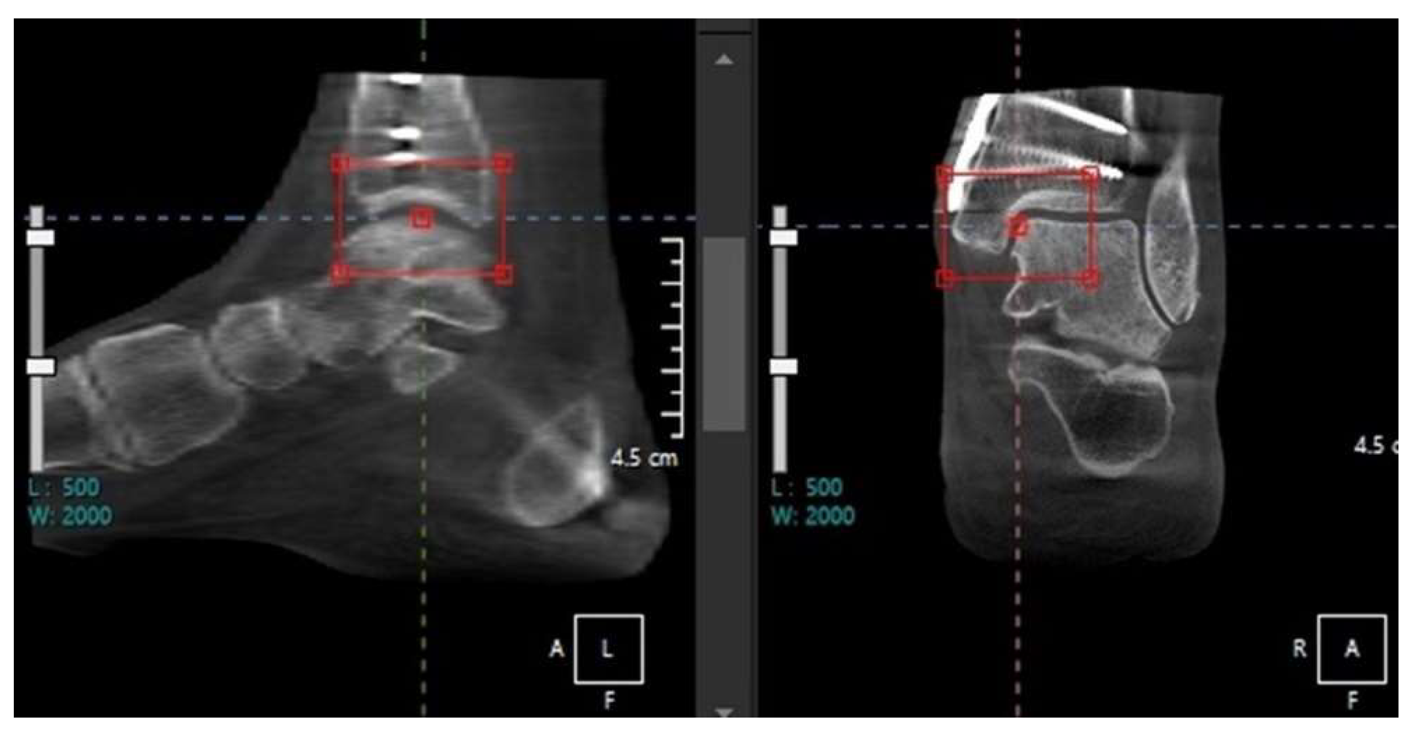 Preprints 112136 g002