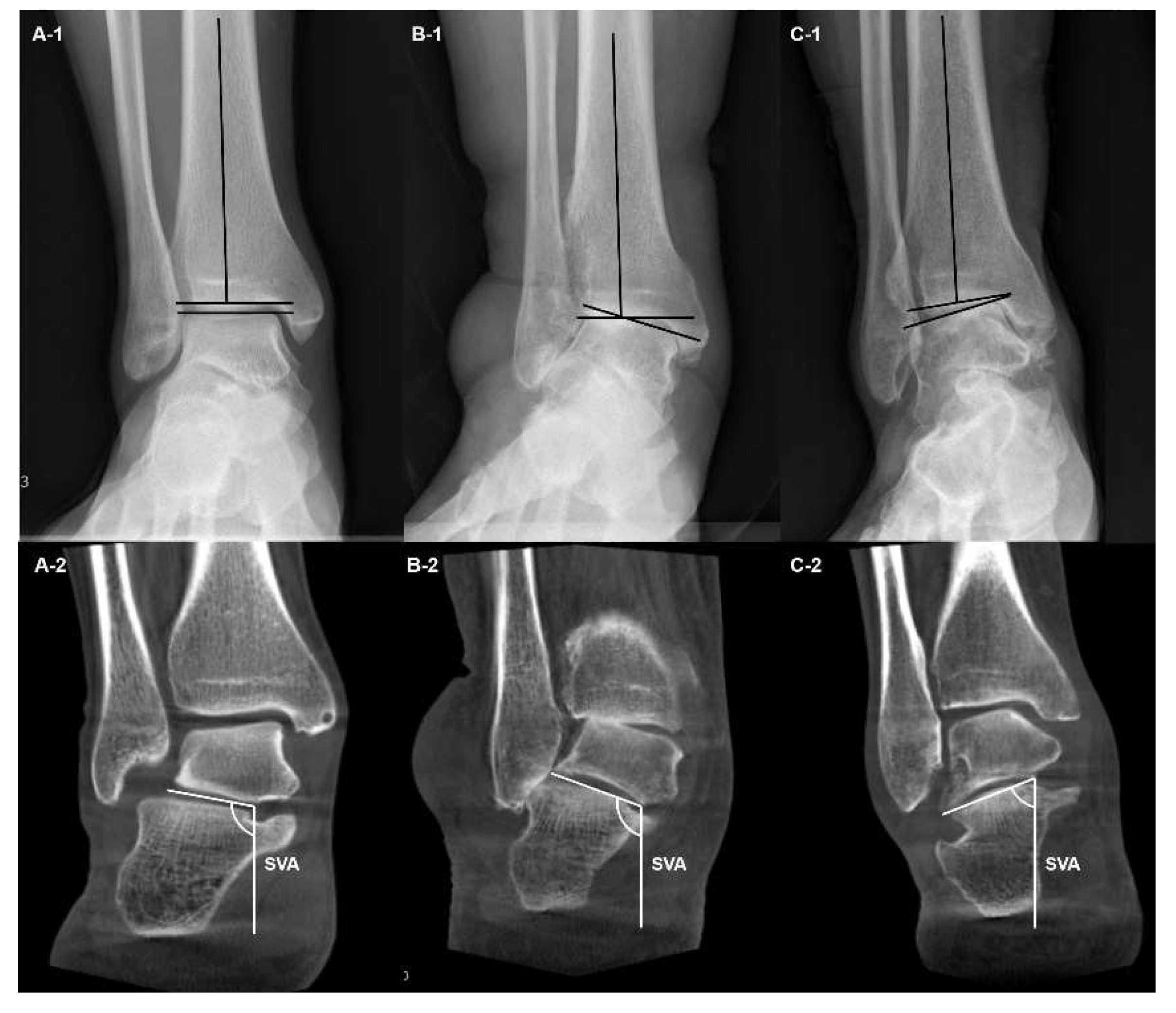 Preprints 112136 g003