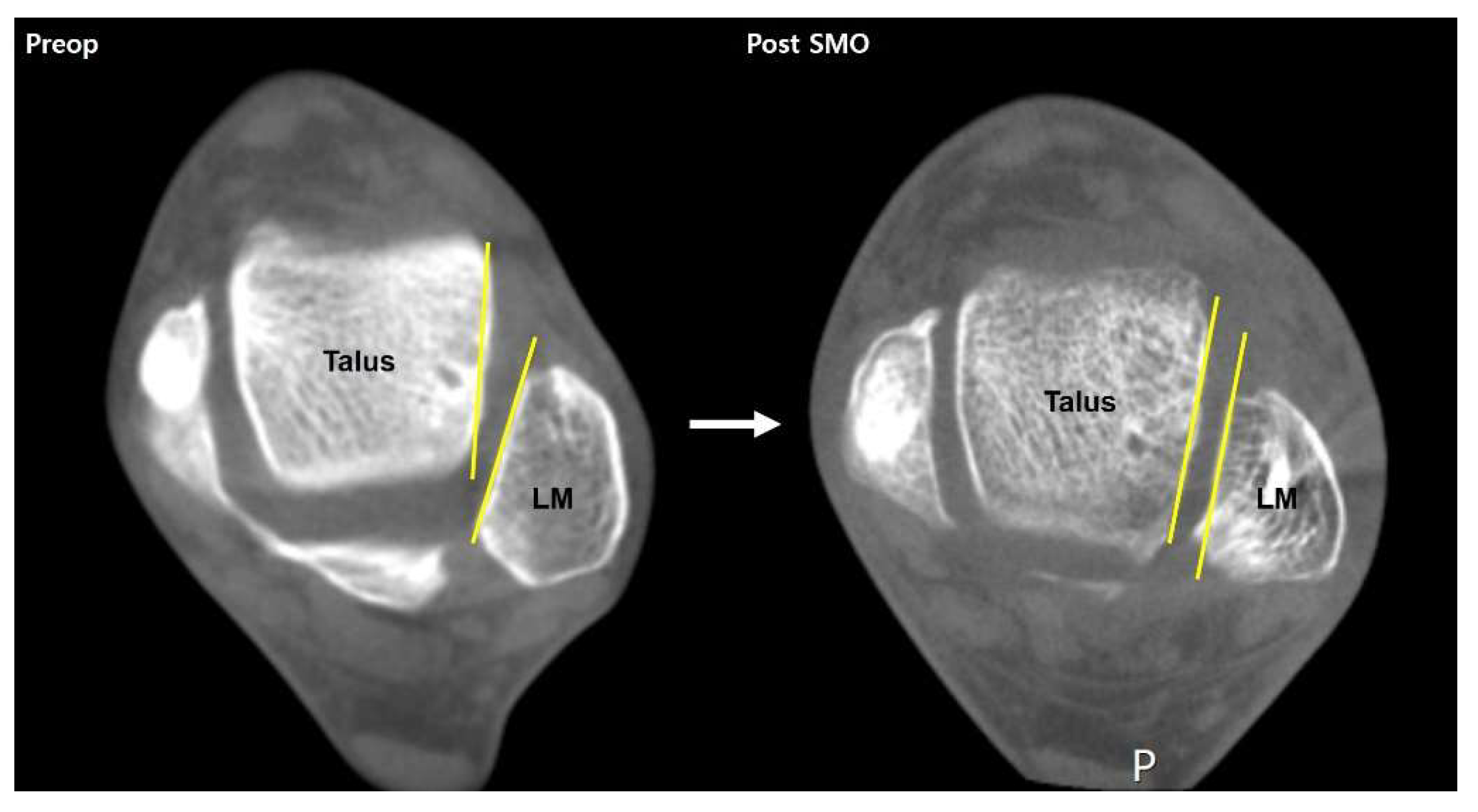 Preprints 112136 g005