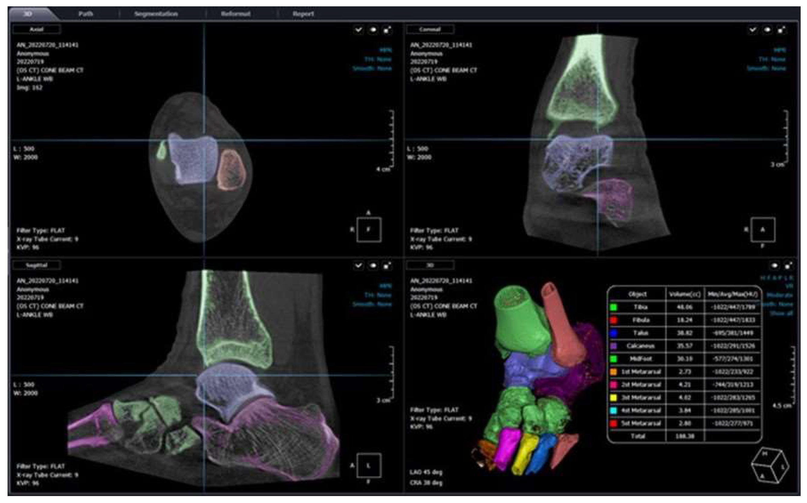 Preprints 112136 g009