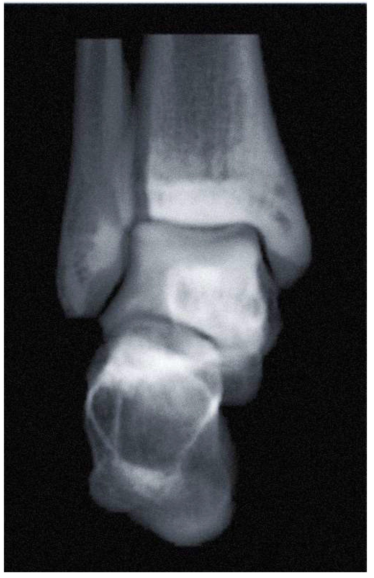 Preprints 112136 g011