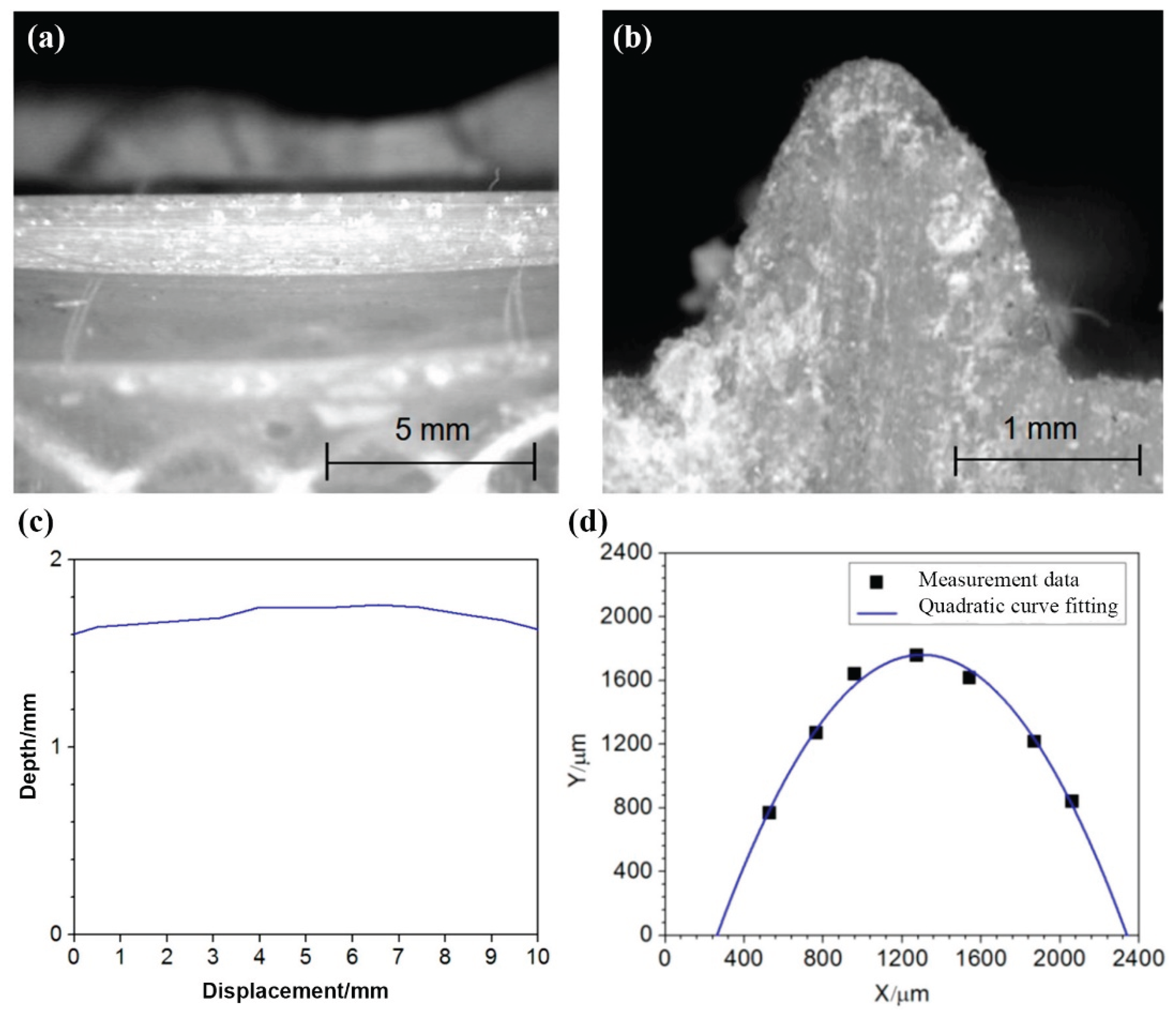 Preprints 166192 g006
