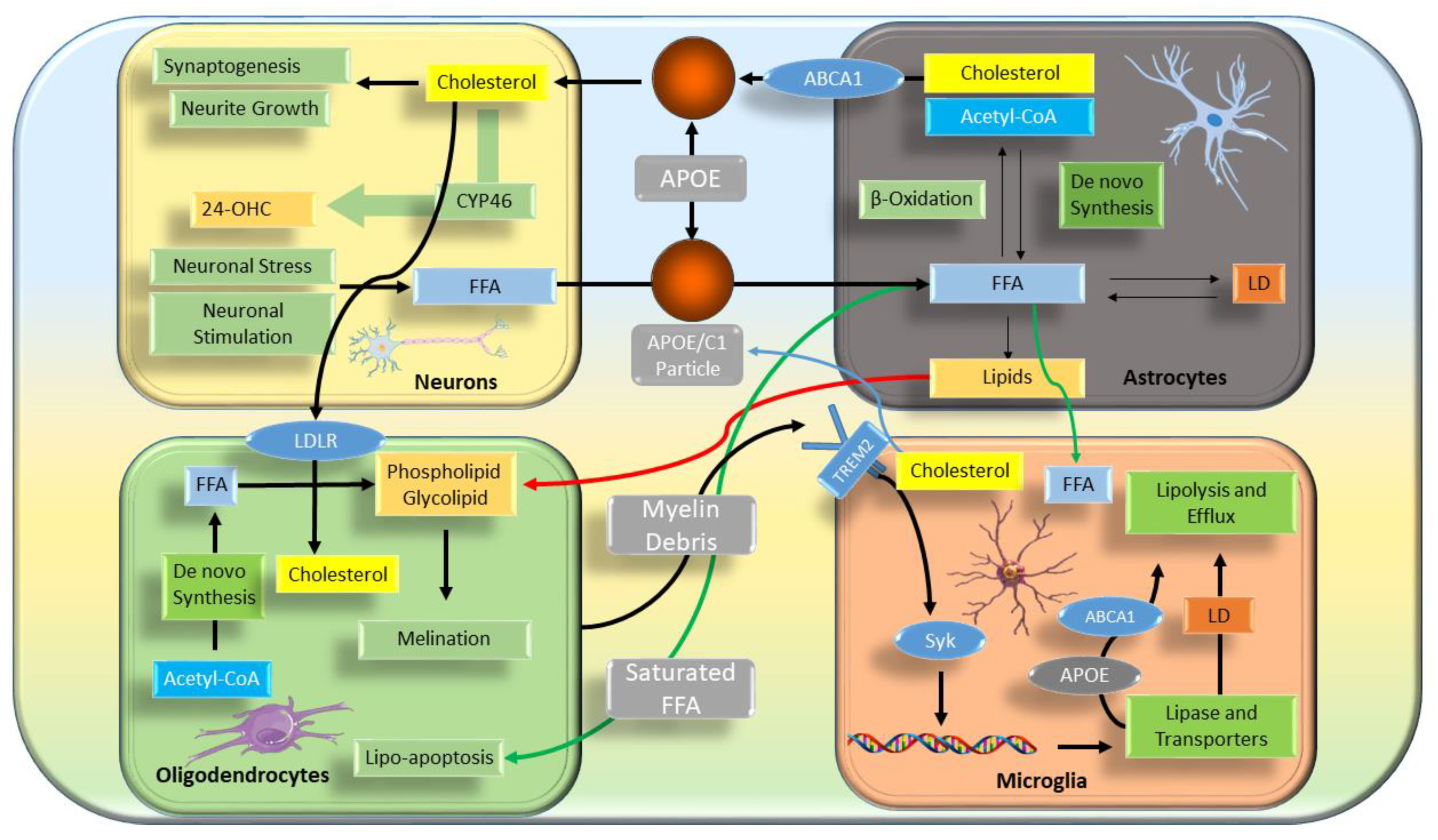 Preprints 140193 g002