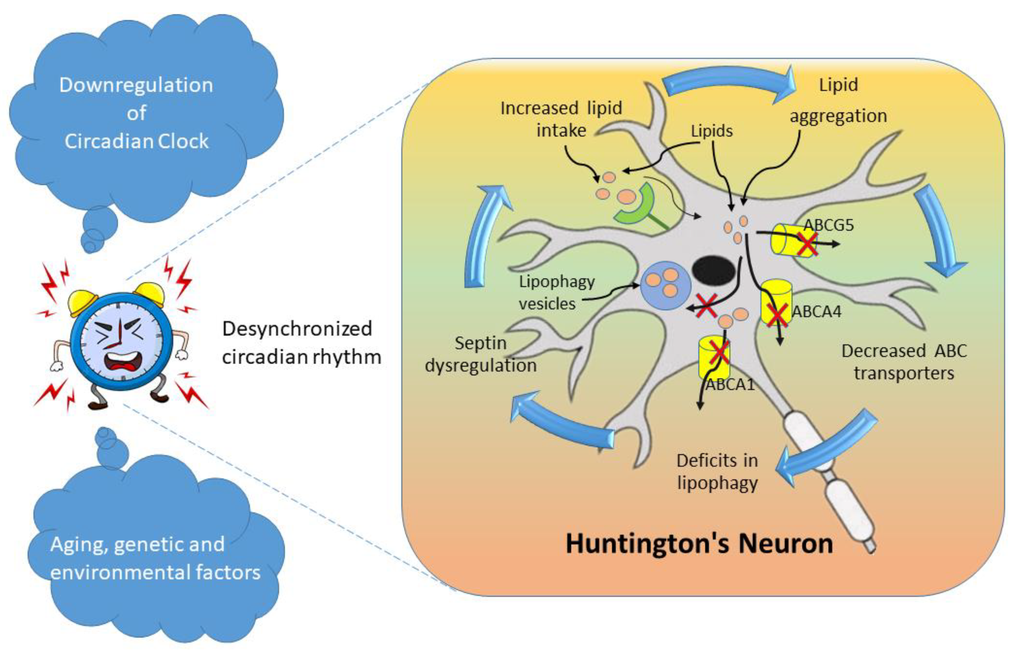 Preprints 140193 g003