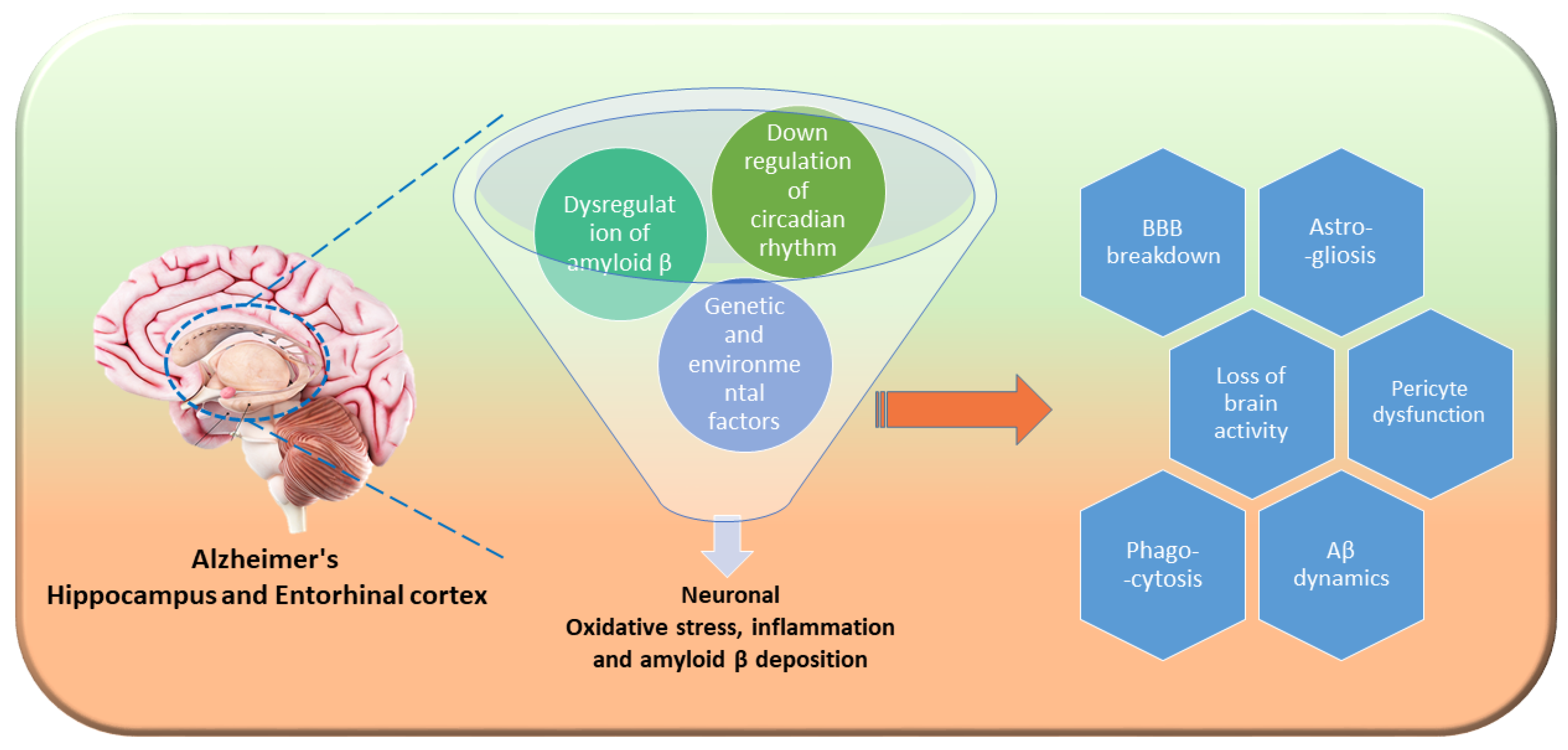 Preprints 140193 g004