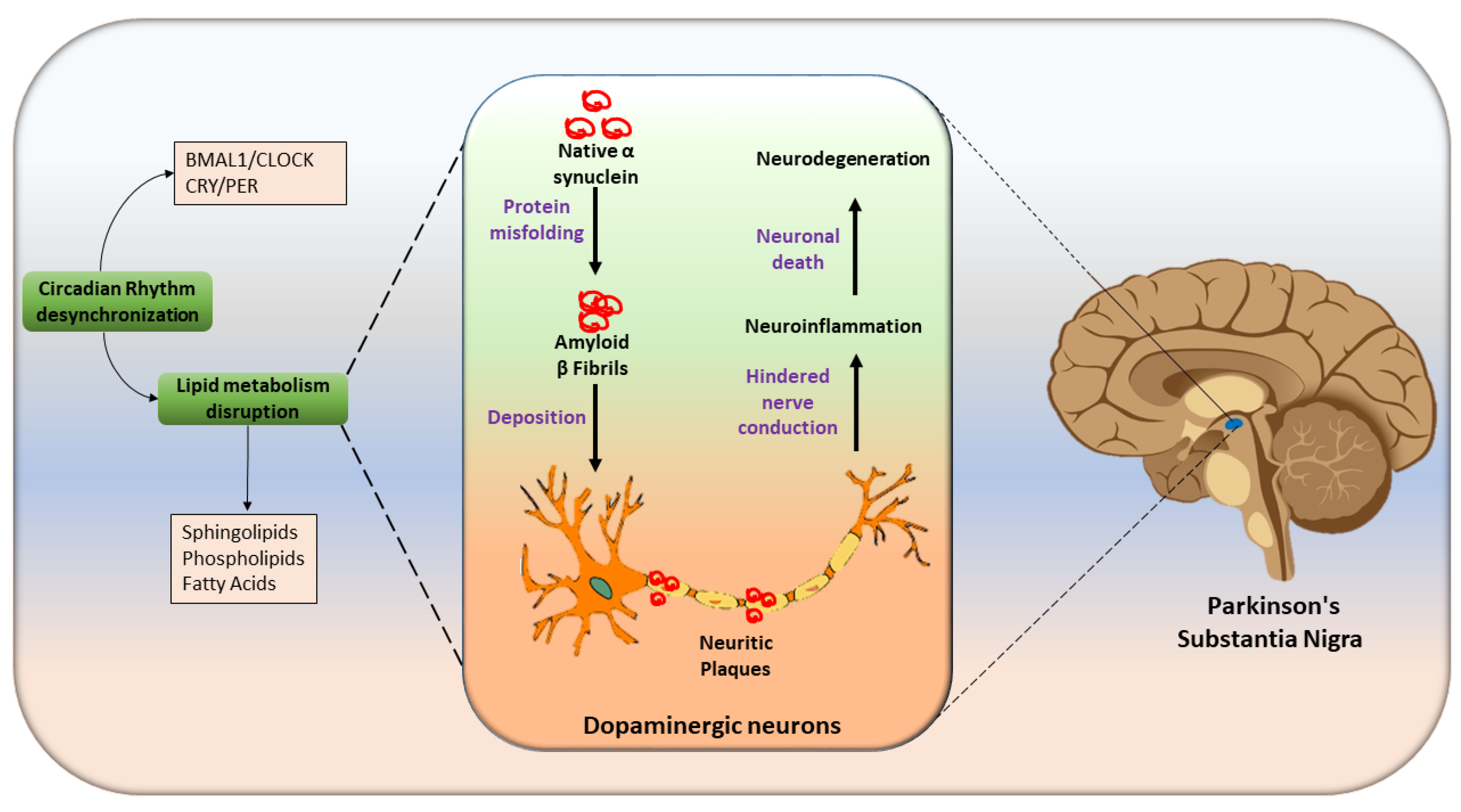 Preprints 140193 g005