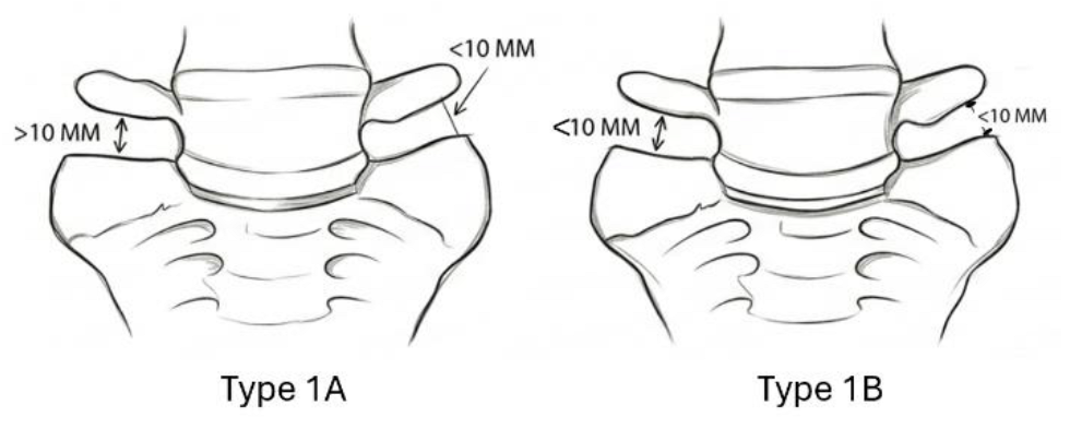 Preprints 200588 i001