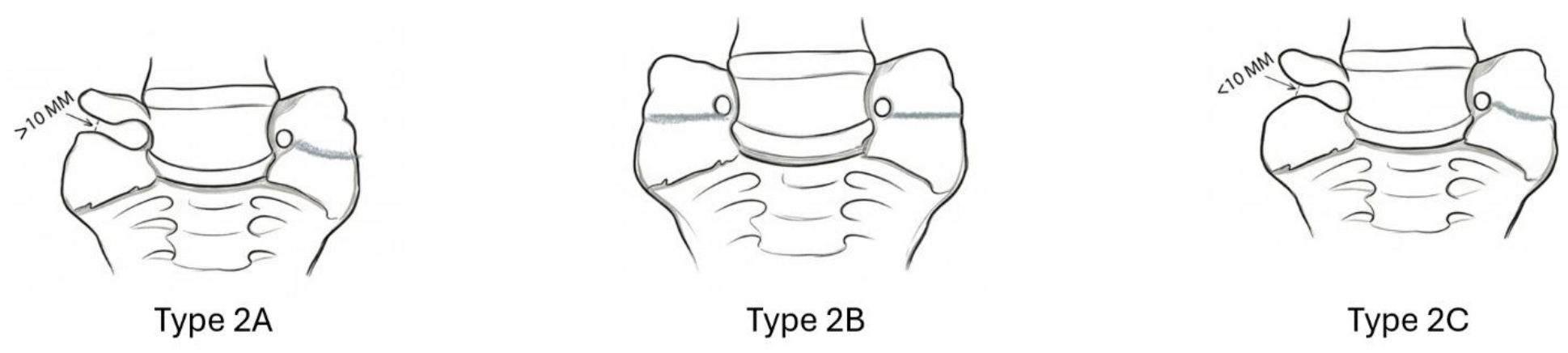 Preprints 200588 i002