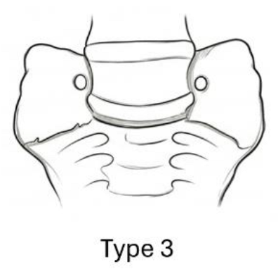 Preprints 200588 i003