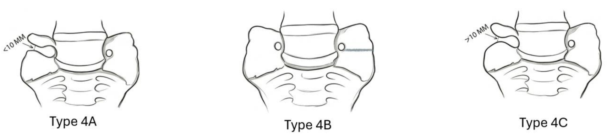 Preprints 200588 i004