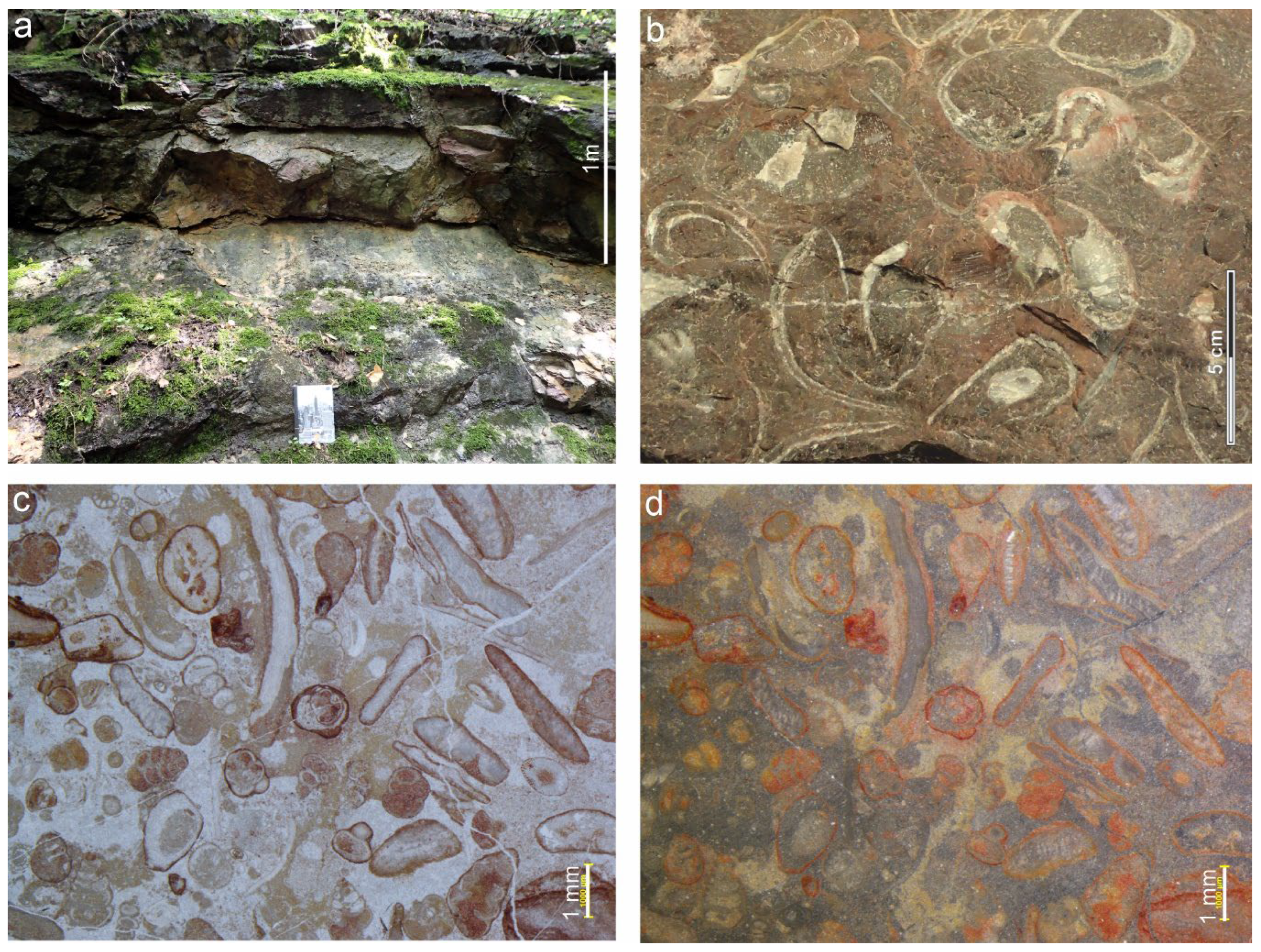 Preprints 181306 g003