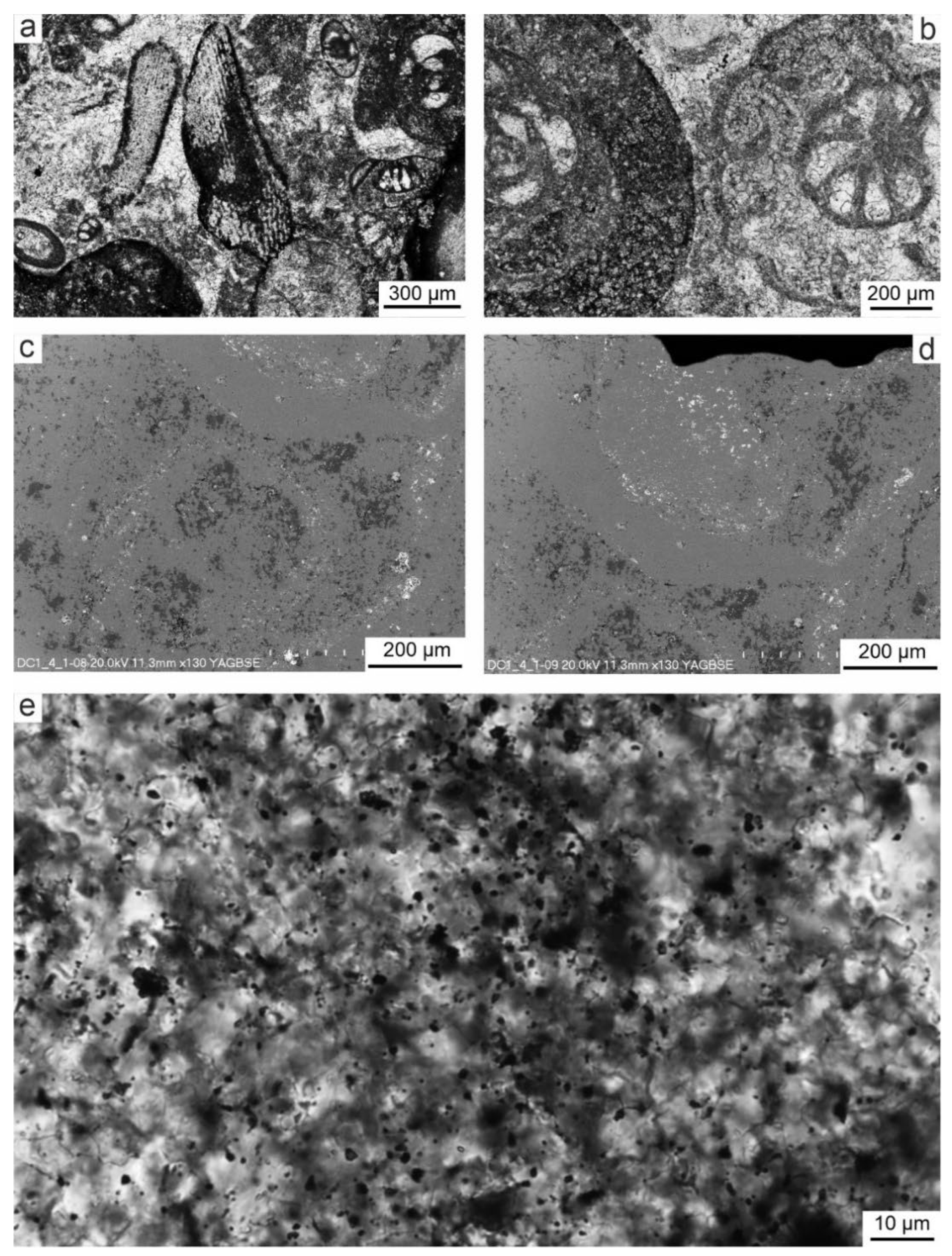Preprints 181306 g004