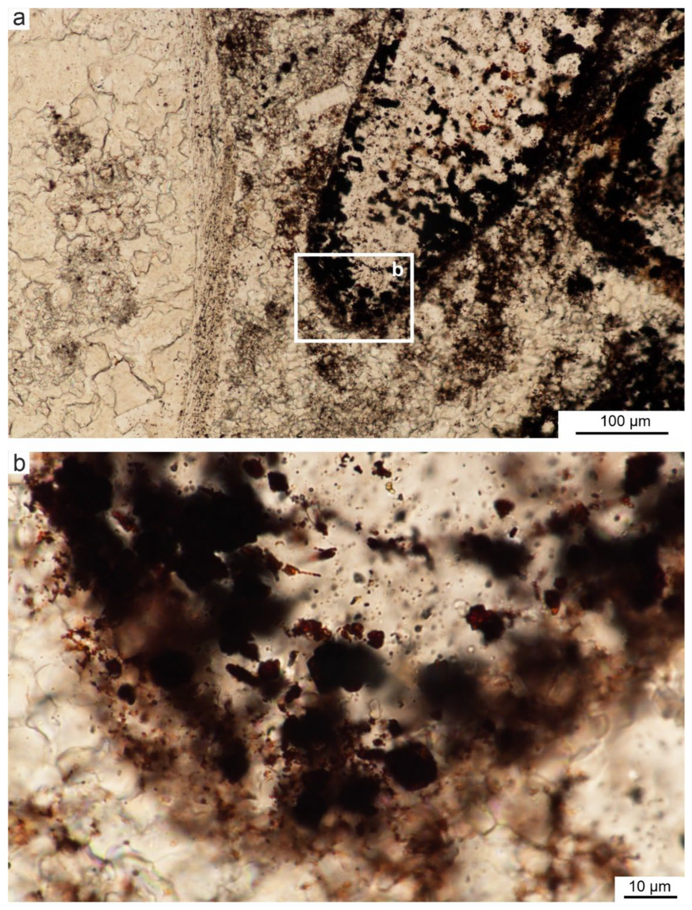 Preprints 181306 g008