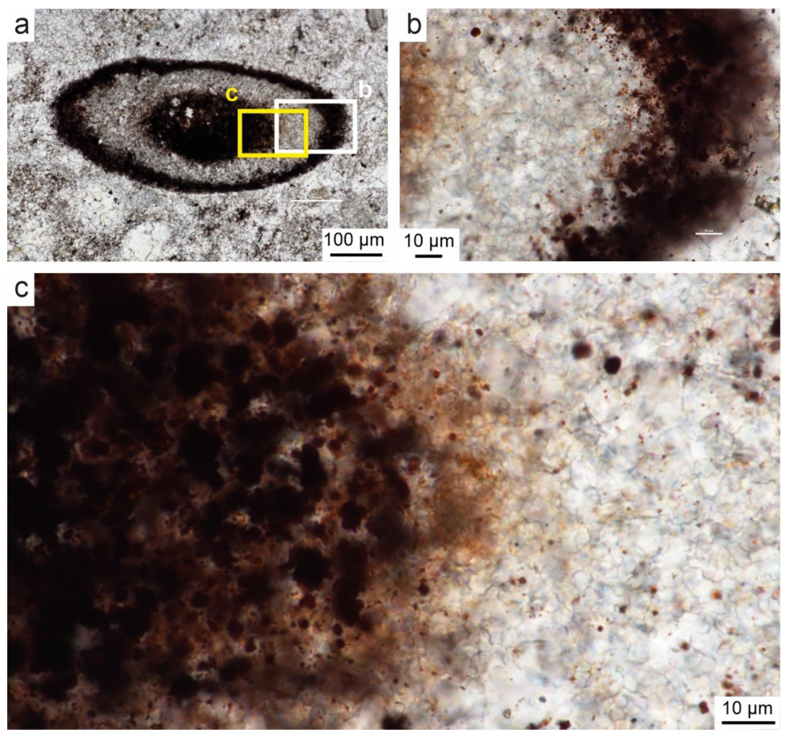Preprints 181306 g009