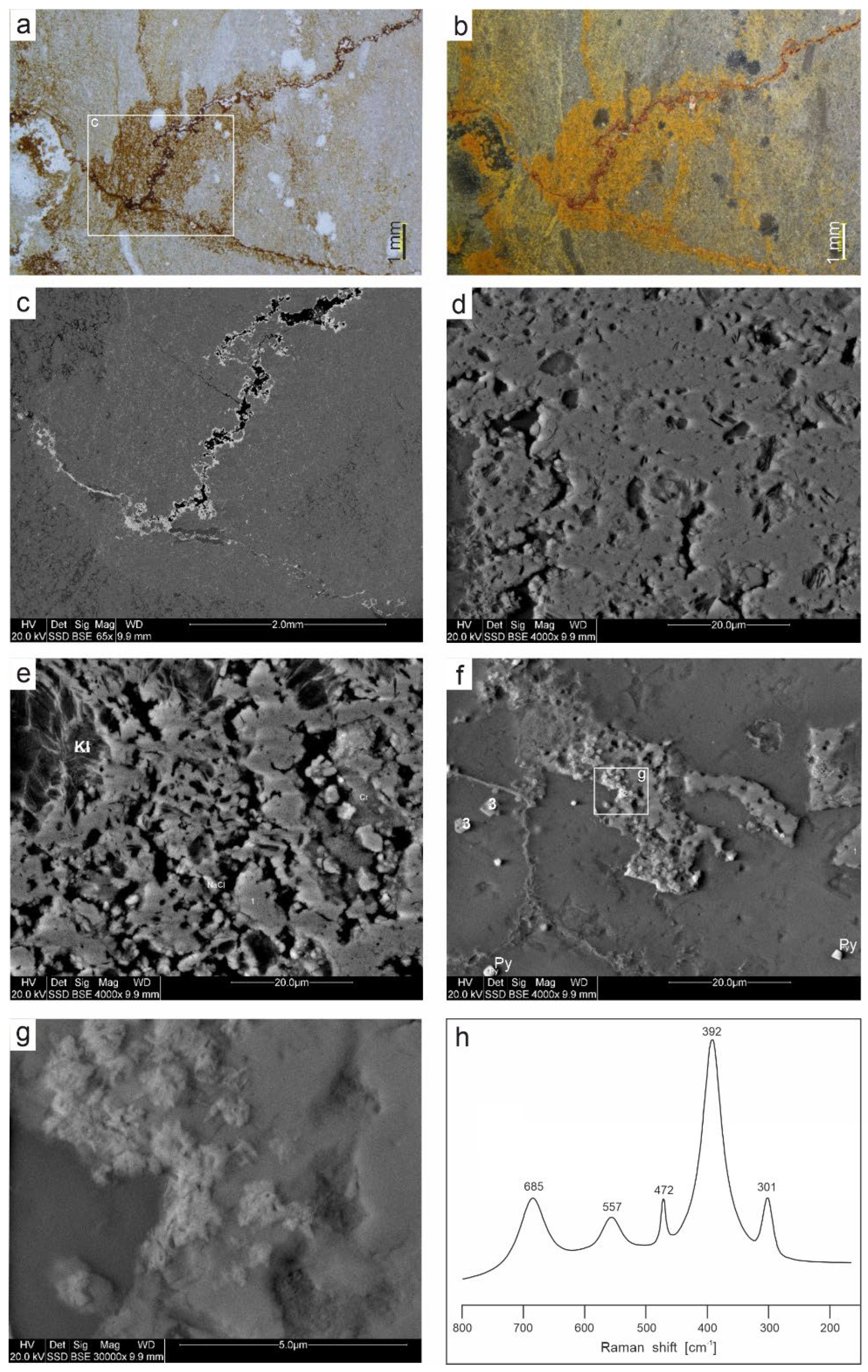 Preprints 181306 g010