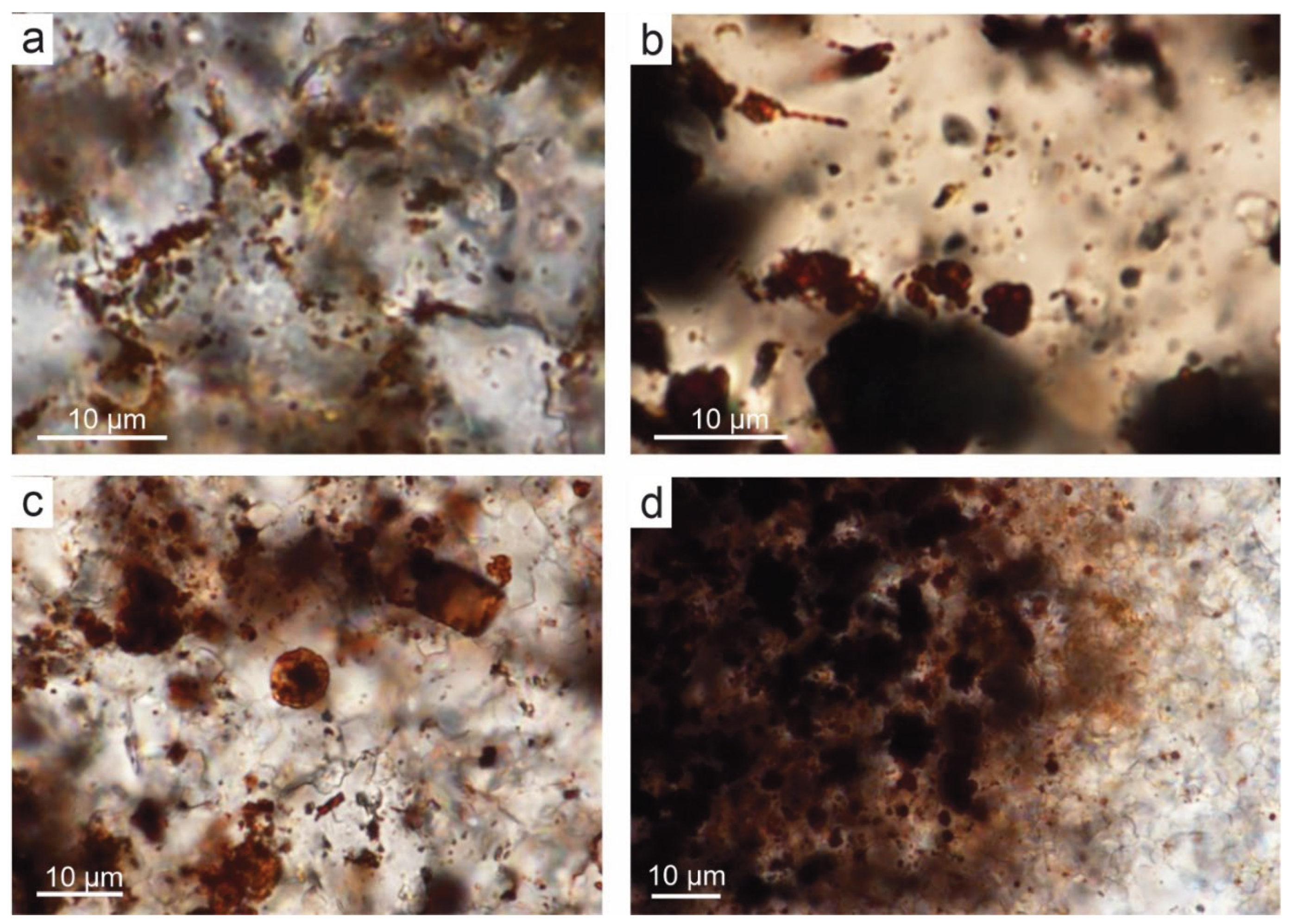Preprints 181306 g014